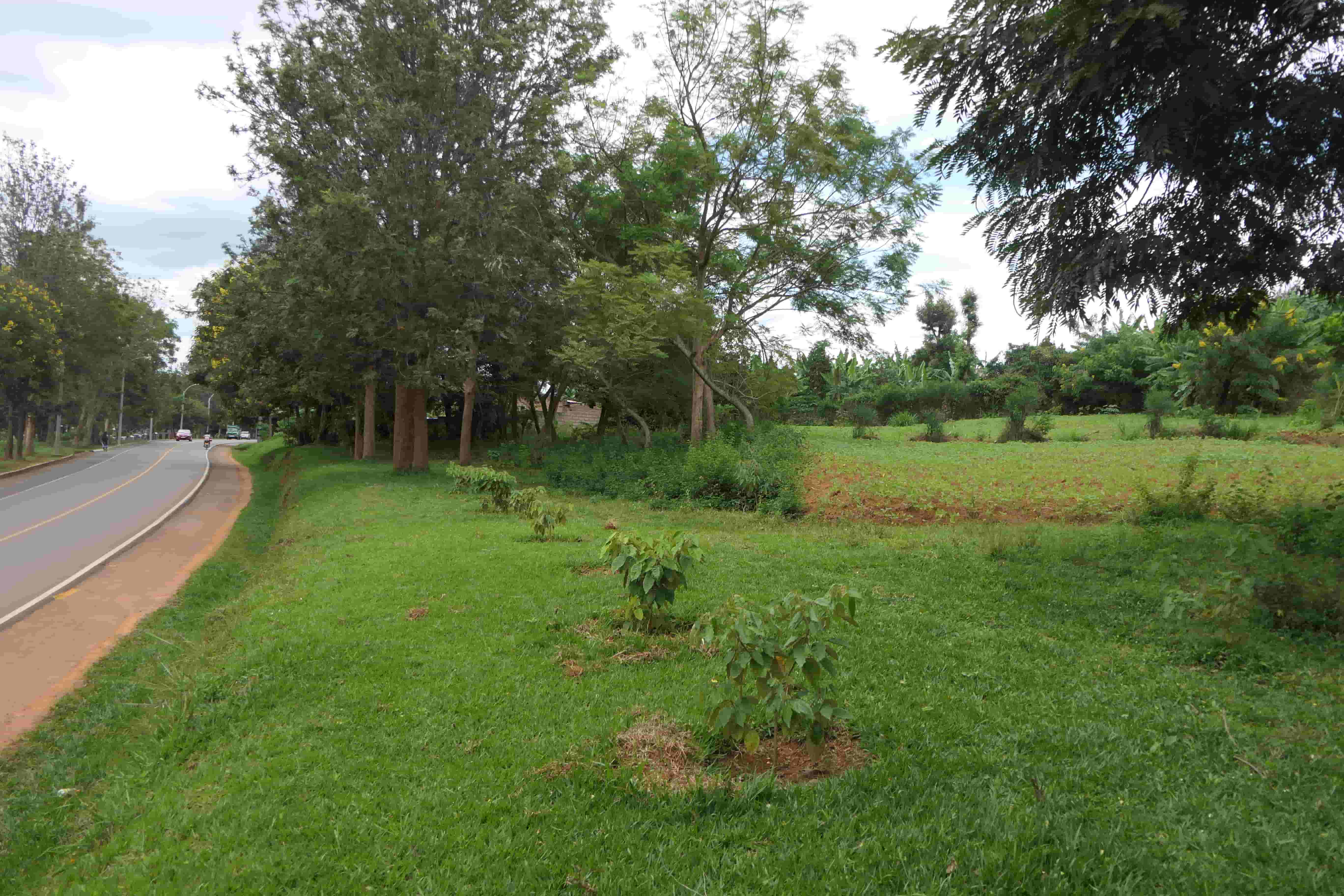 1000 Sqm Mixed Commercial Plot for Sale on the Main Road