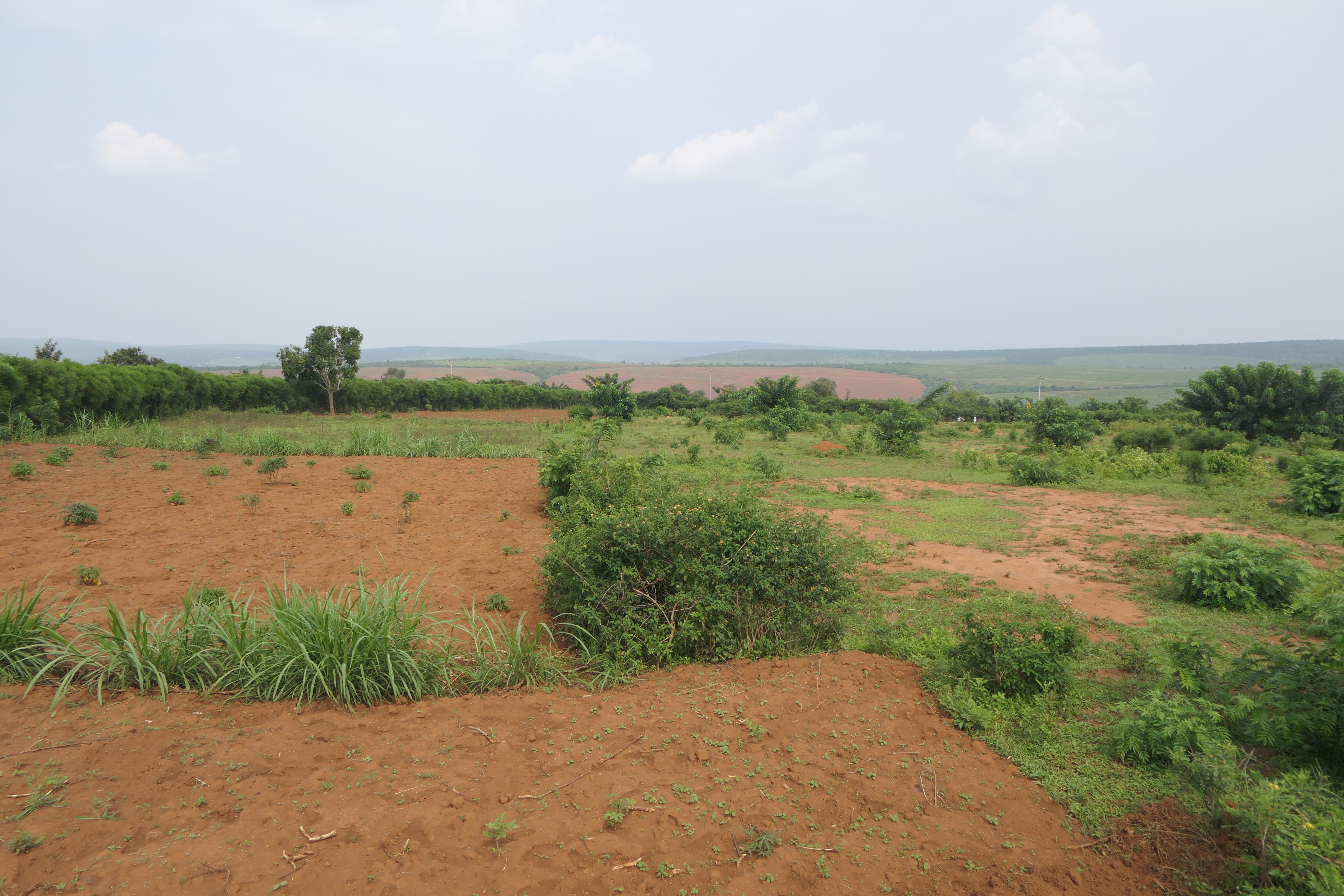 3.9 Hectares Farmland for Sale in Bugesera | 1 Minute from Main Road