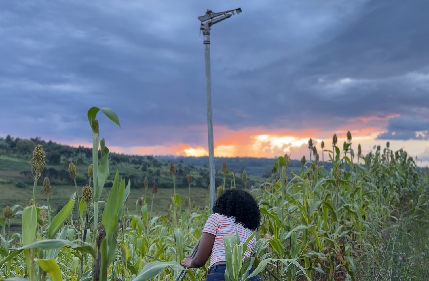17 Hectares Lakeside Farm for Sale in Rwamagana