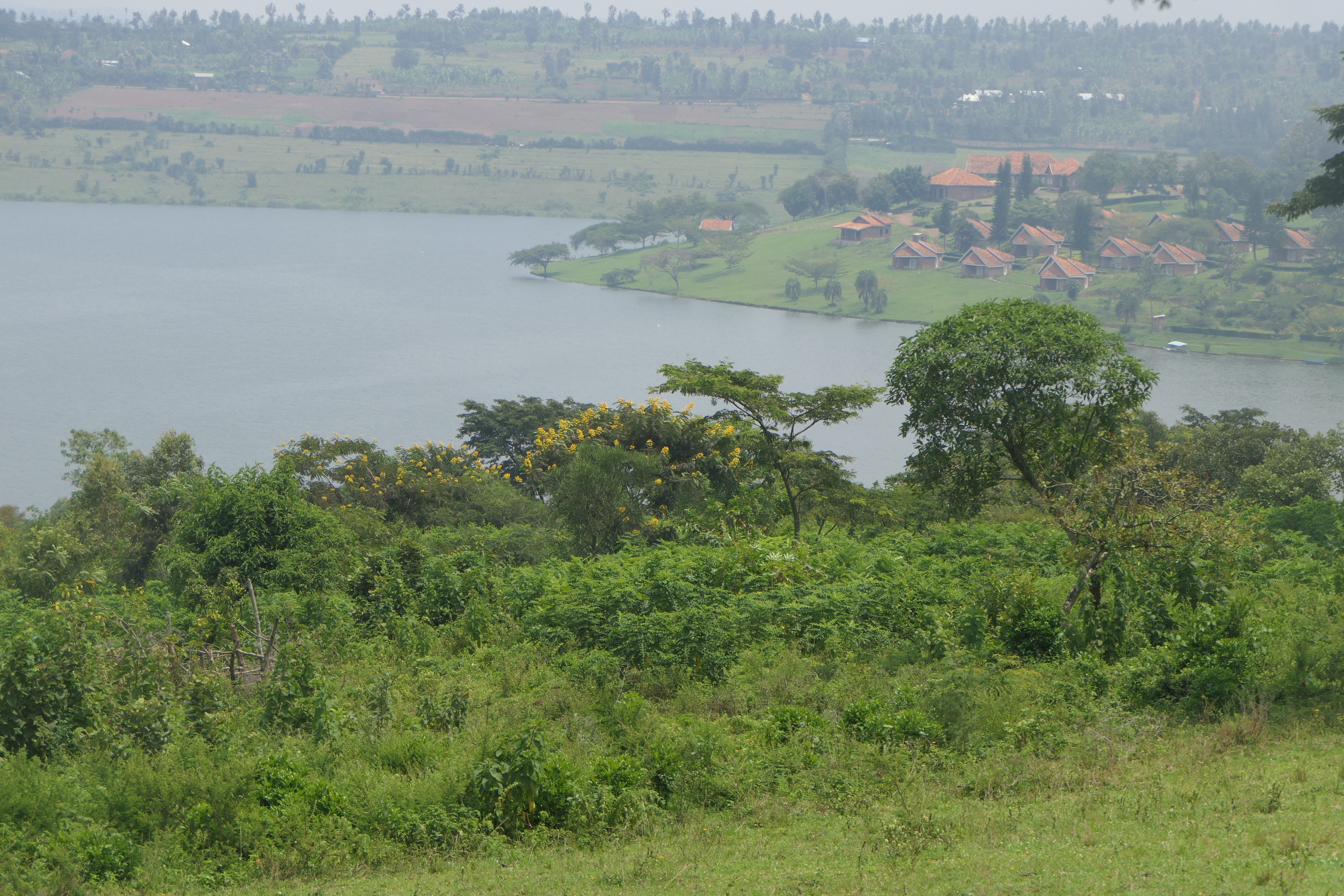 10.5 hectares lakefront land for sale on Muhazi lake in Rwamagana- Rwanda