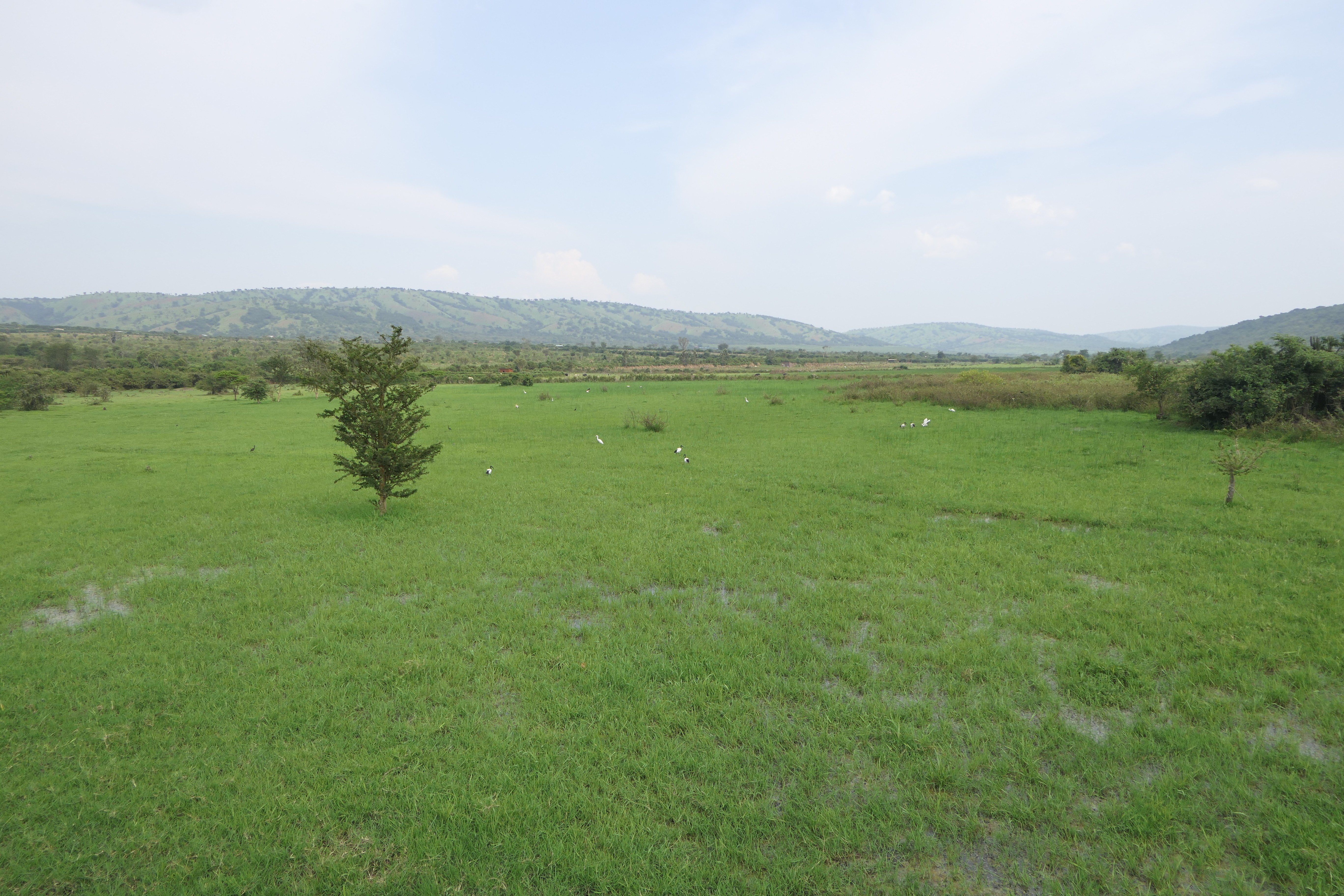 19 Hectares Livestock Farmland for Sale in Kayonza District, Rwanda