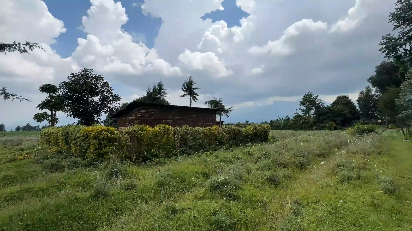 Land for Sale in Musanze Near Kwita Izina Grounds| 4000 sqm Prime Plot image 9