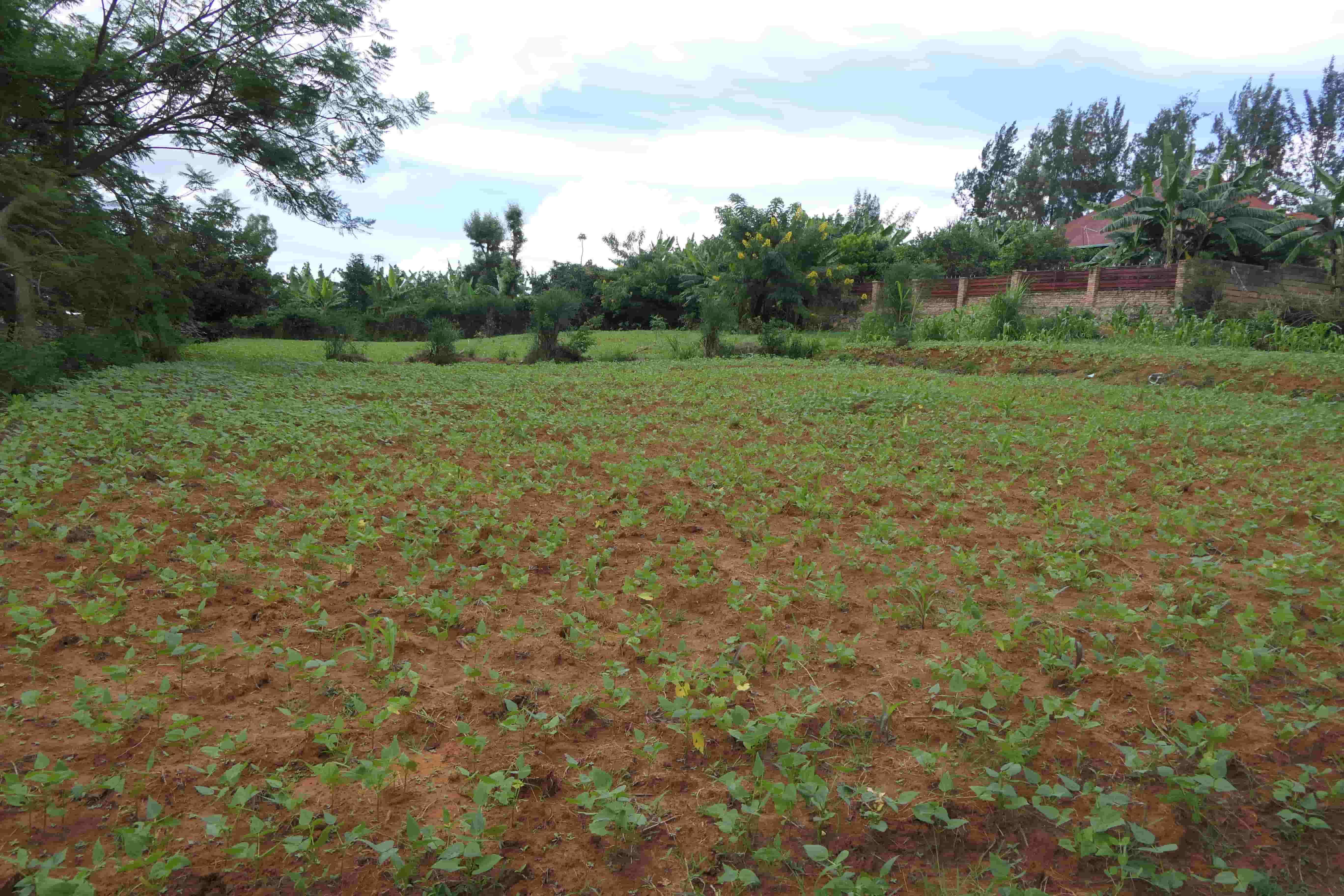 1000 Sqm Mixed Commercial Plot for Sale on the Main Road image 3