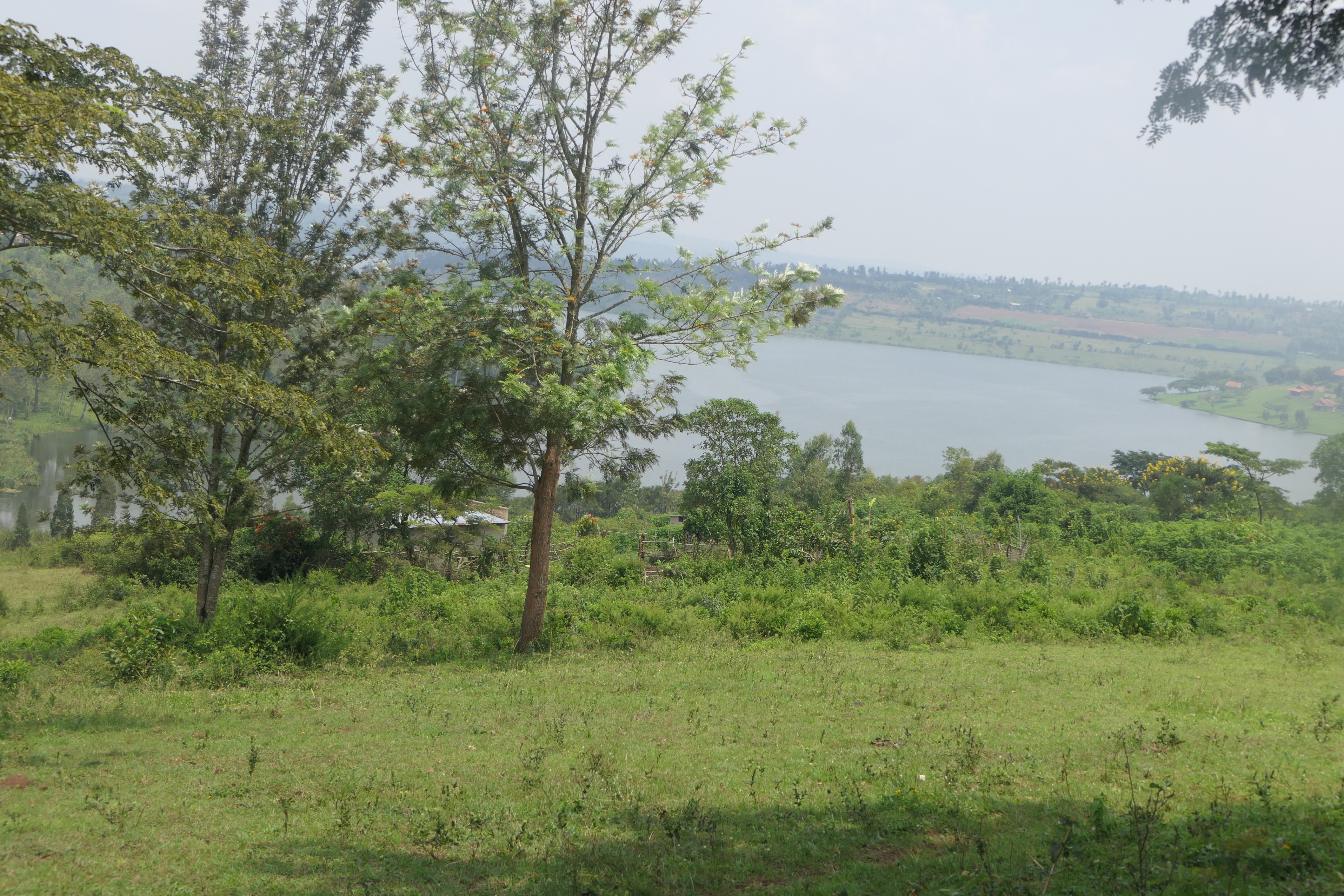 10.5 hectares lakefront land for sale on Muhazi lake in Rwamagana- Rwanda image 2
