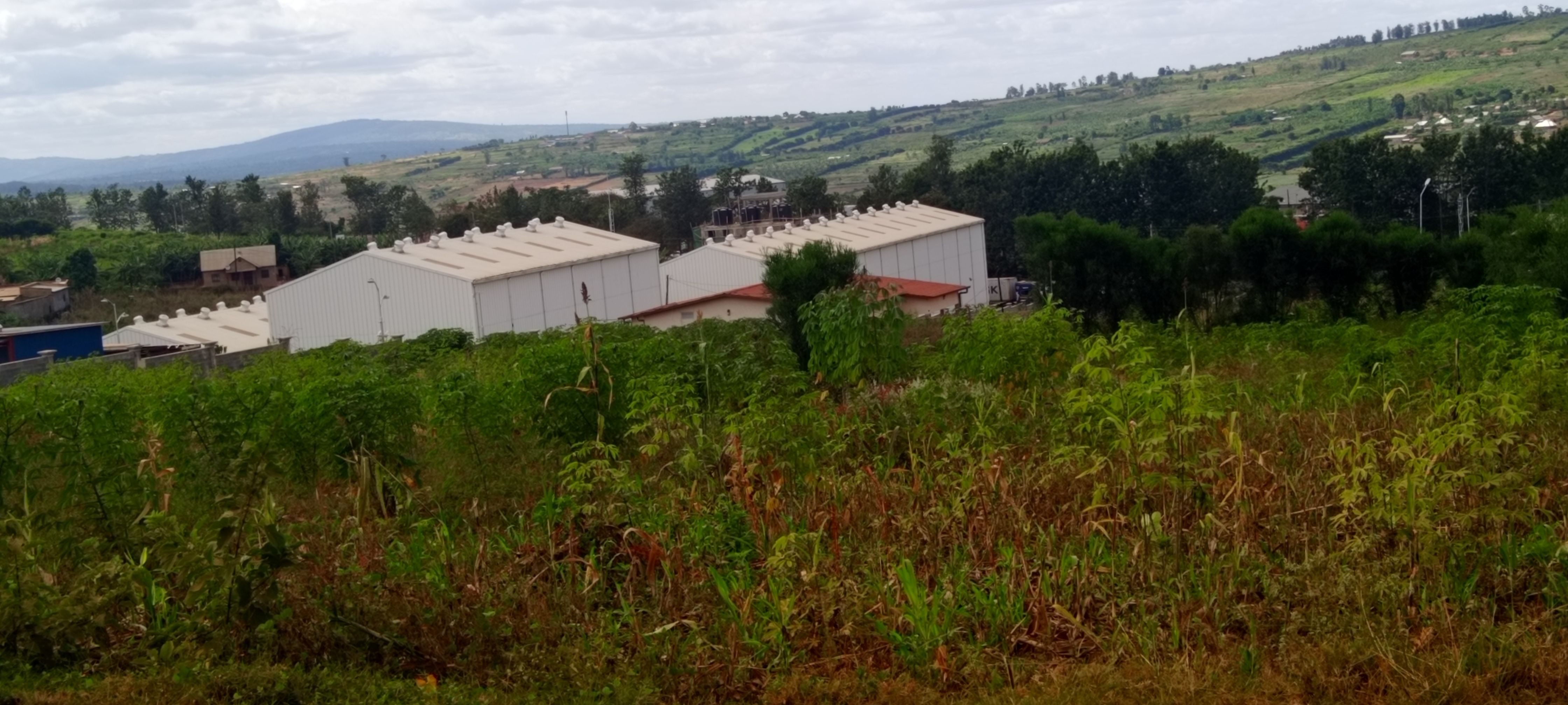 Bugesera-kanzenze C3- city  commercial plot:   6,295sqm image 7