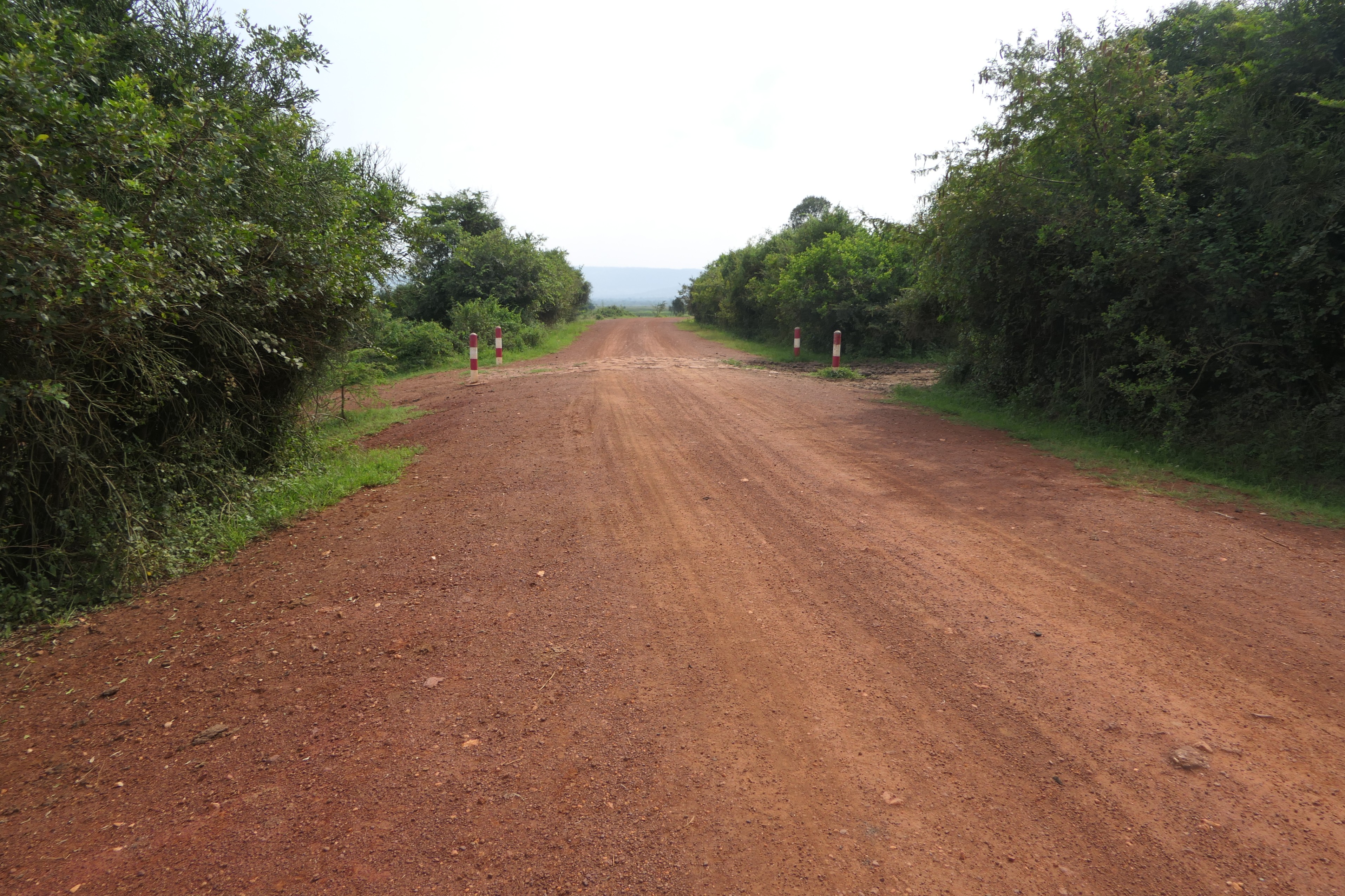 19 Hectares Livestock Farmland for Sale in Kayonza District, Rwanda image 3