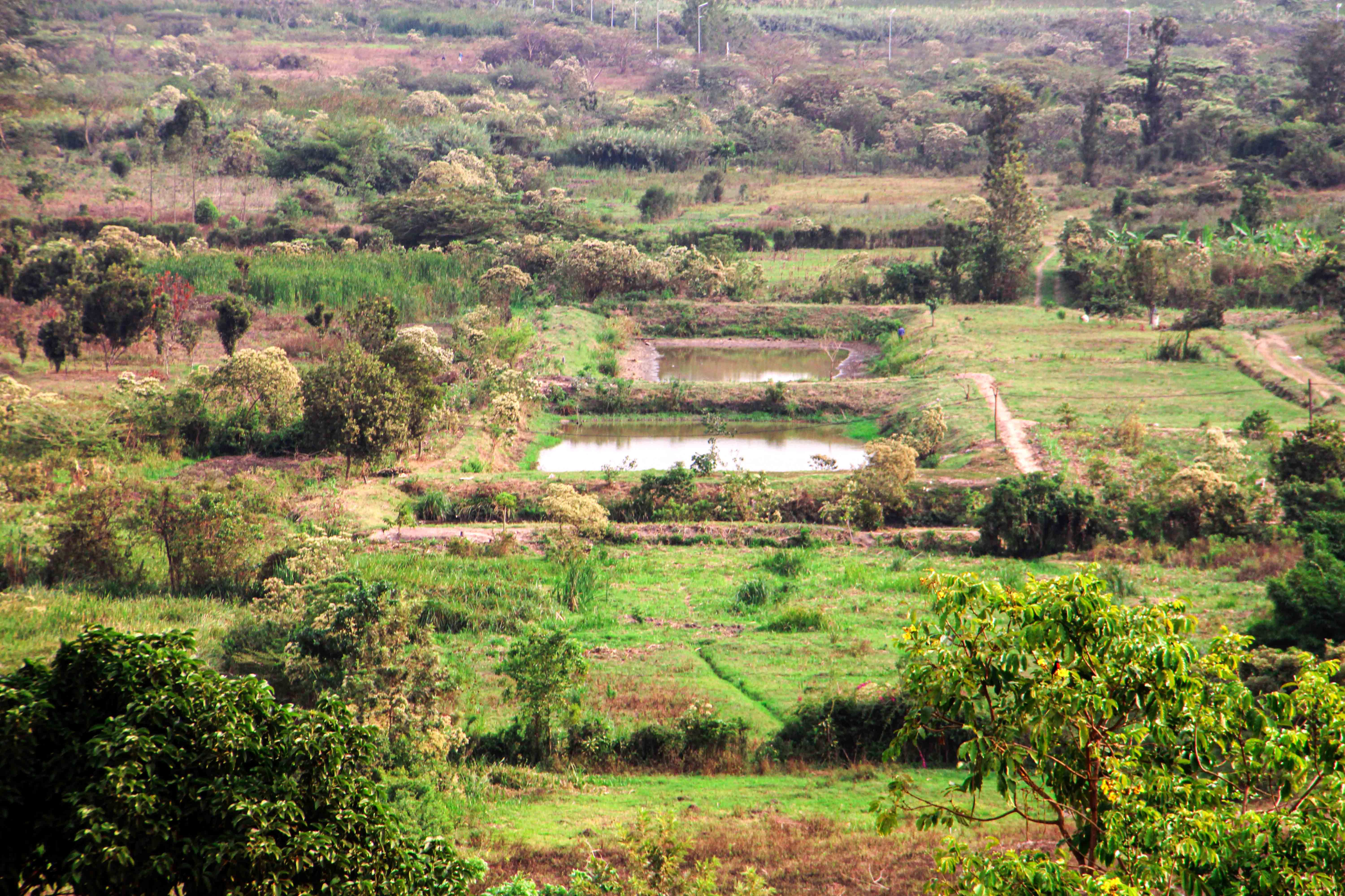 Industrial Plot for Sale in Masoro image 4