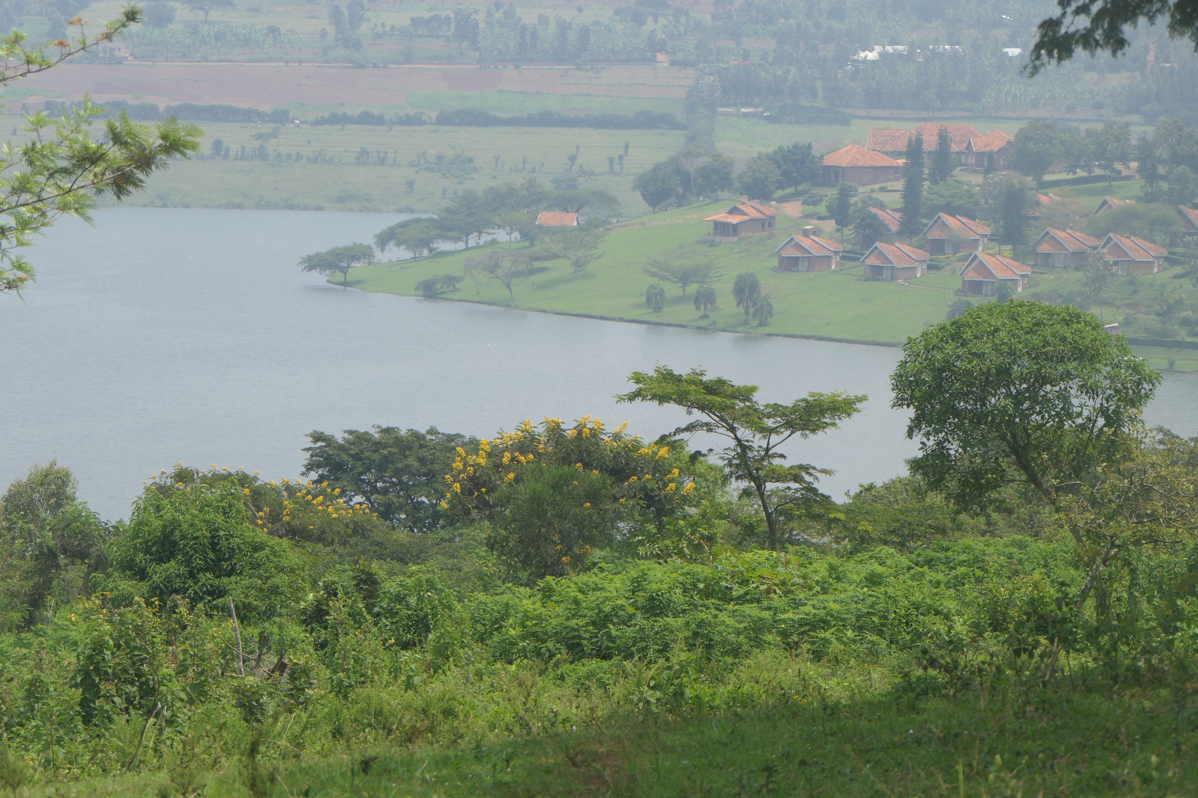 10.5 hectares lakefront land for sale on Muhazi lake in Rwamagana- Rwanda image 3