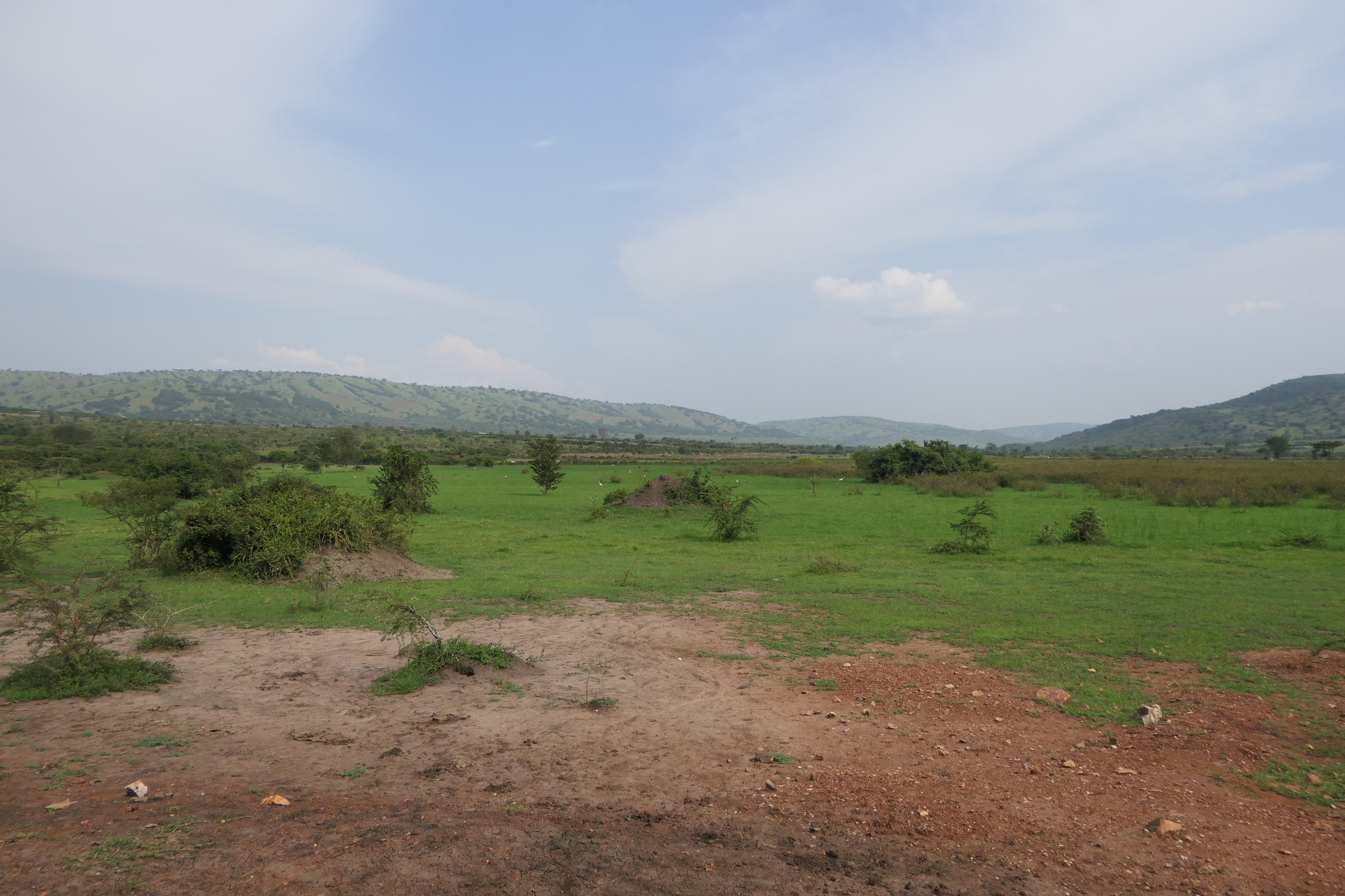 19 Hectares Livestock Farmland for Sale in Kayonza District, Rwanda image 2