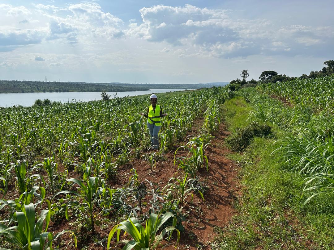 90 Hectares for Sale in Ngoma – Perfect for Agriculture & Livestock! image 5