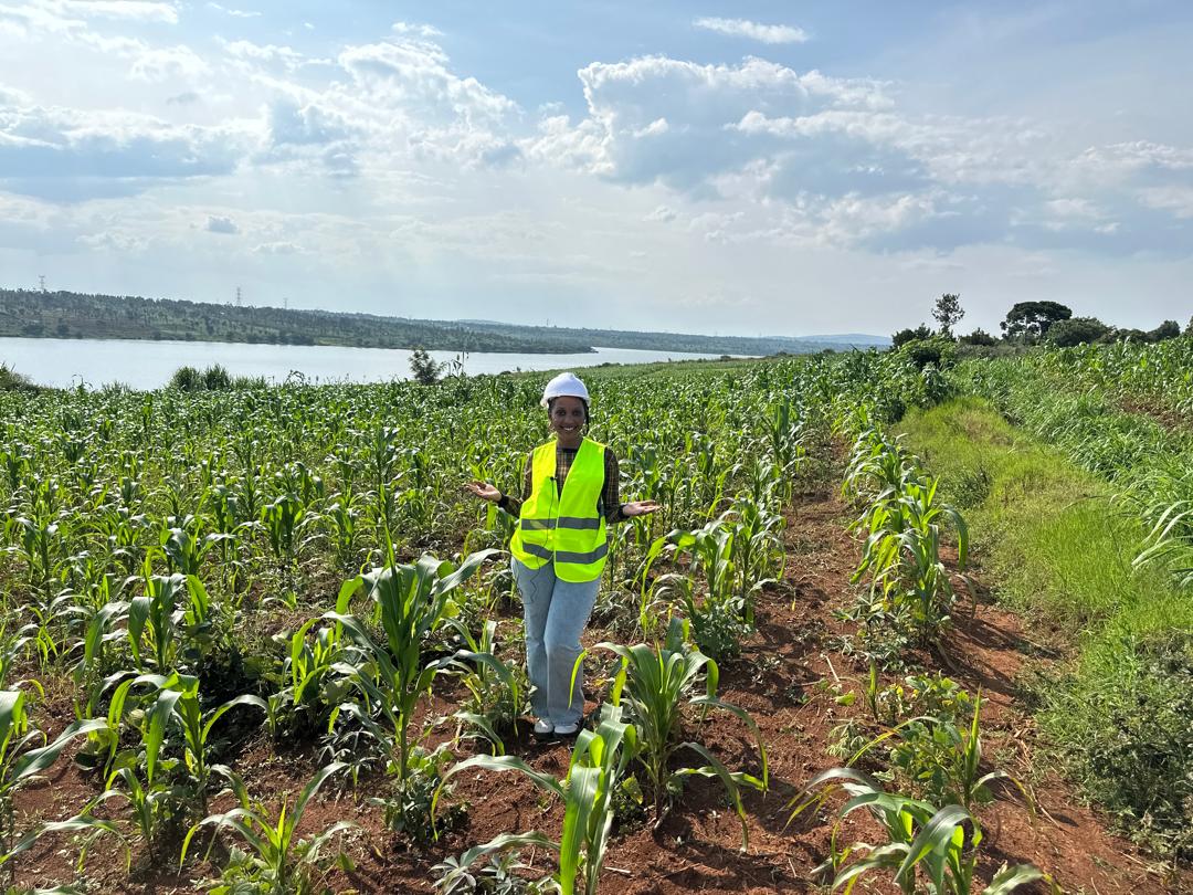 90 Hectares for Sale in Ngoma – Perfect for Agriculture & Livestock! image 3