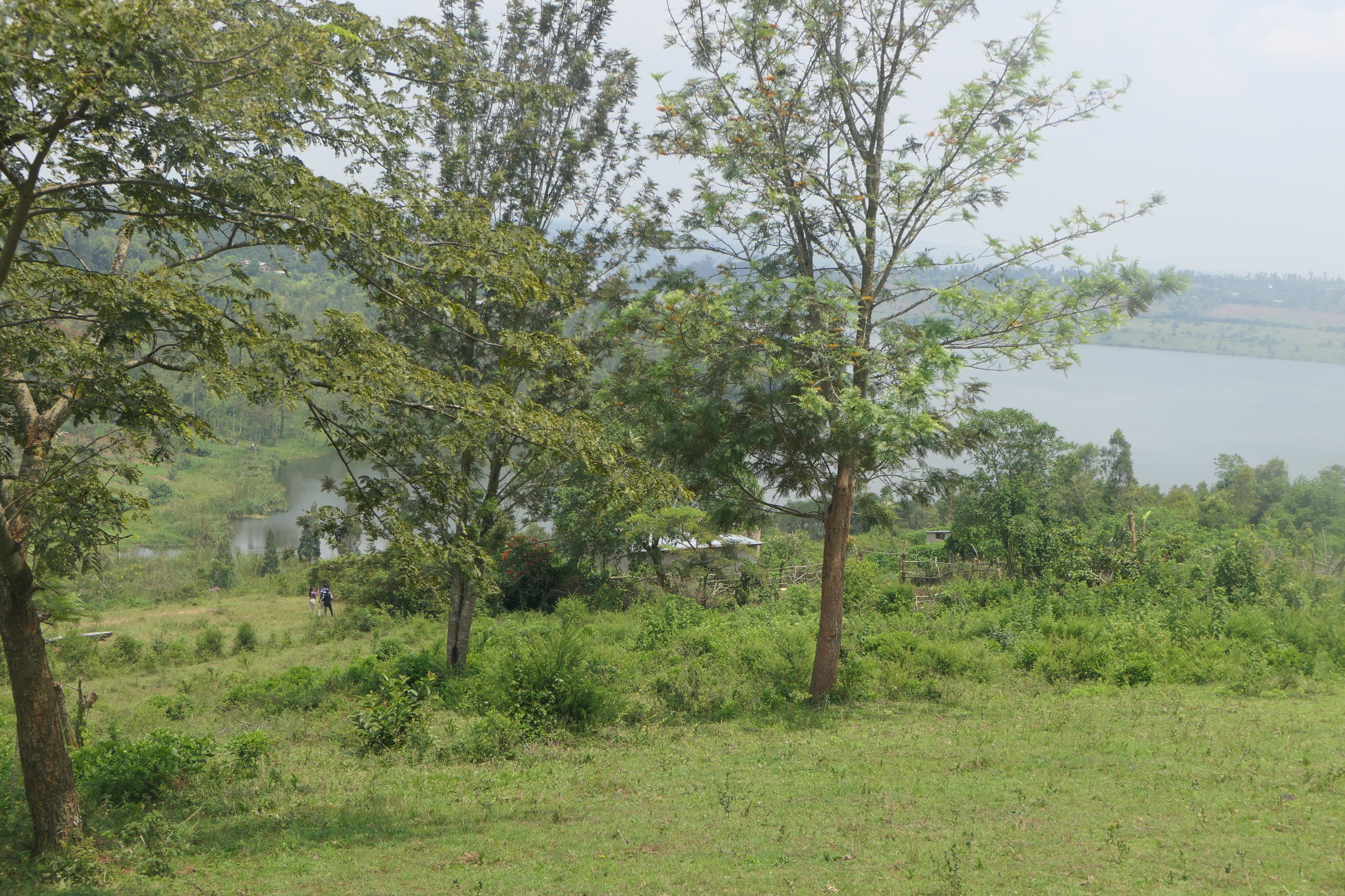 10.5 hectares lakefront land for sale on Muhazi lake in Rwamagana- Rwanda image 5
