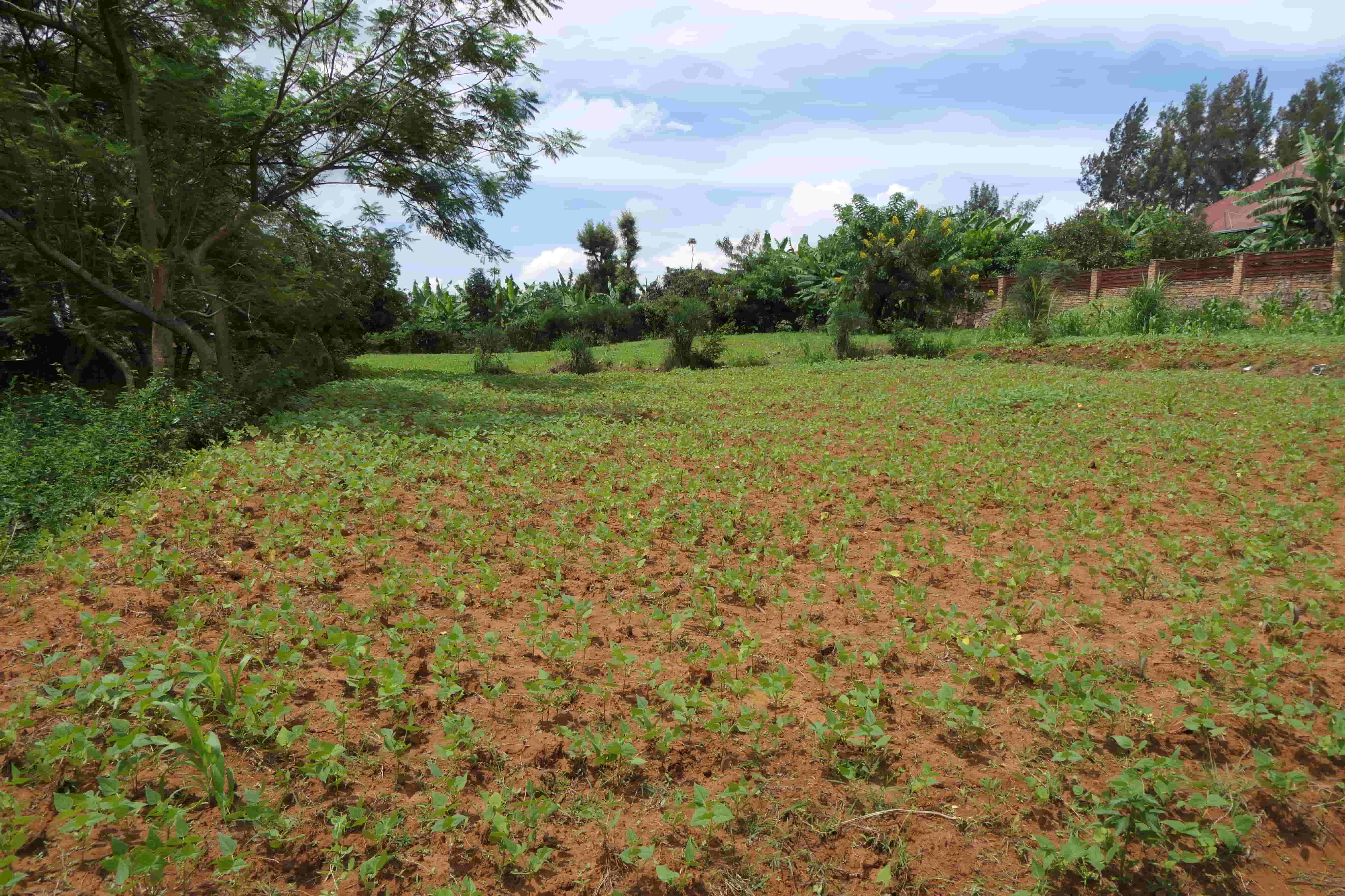 1000 Sqm Mixed Commercial Plot for Sale on the Main Road image 5
