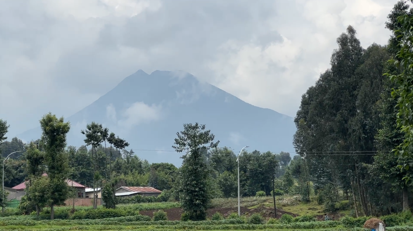 Land for Sale in Musanze Near Kwita Izina Grounds| 4000 sqm Prime Plot image 7