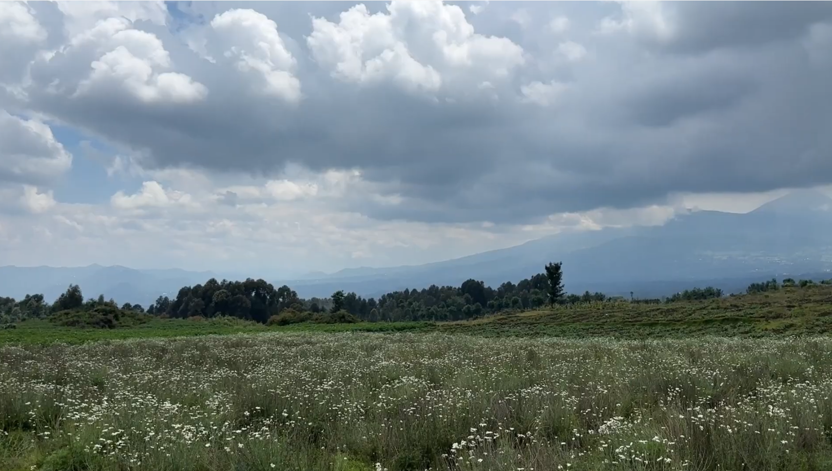 Land for Sale in Musanze Near Kwita Izina Grounds| 4000 sqm Prime Plot image 10