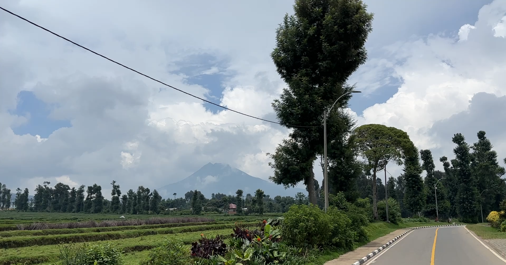 Land for Sale in Musanze Near Kwita Izina Grounds| 4000 sqm Prime Plot image 4