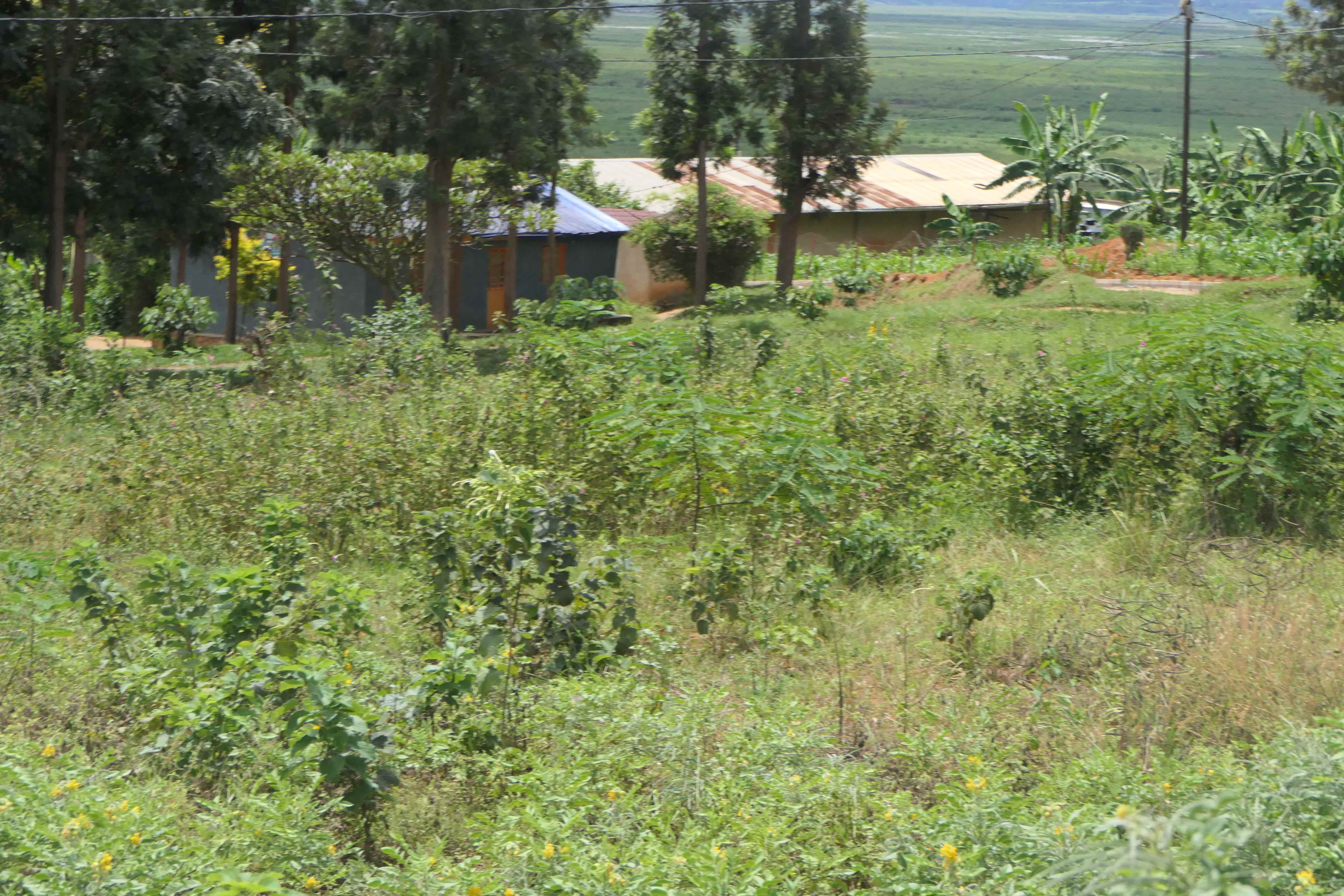 435 Square Meters Prime Plots for Sale | Secure Land Investment Opportunity image 14