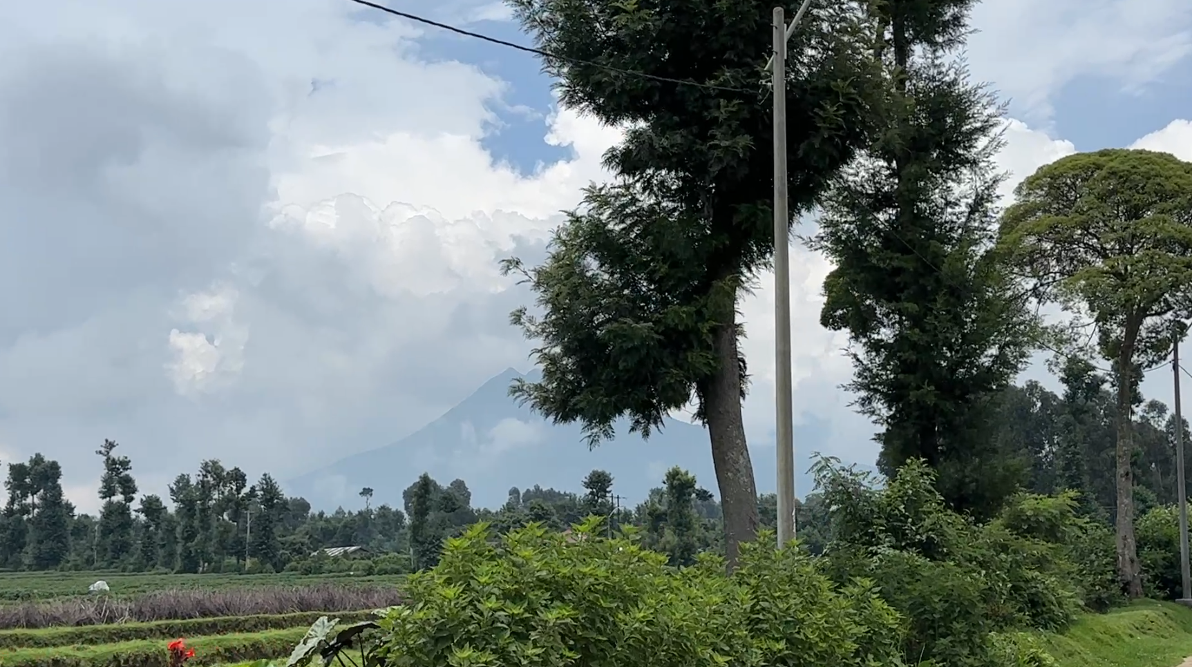 Land for Sale in Musanze Near Kwita Izina Grounds| 4000 sqm Prime Plot image 5