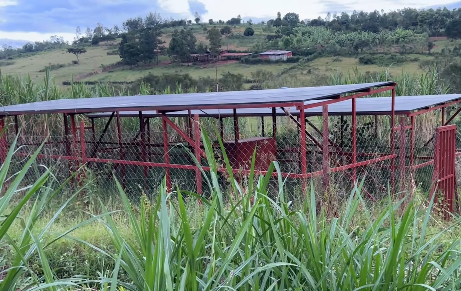 17 Hectares Lakeside Farm for Sale in Rwamagana image 15