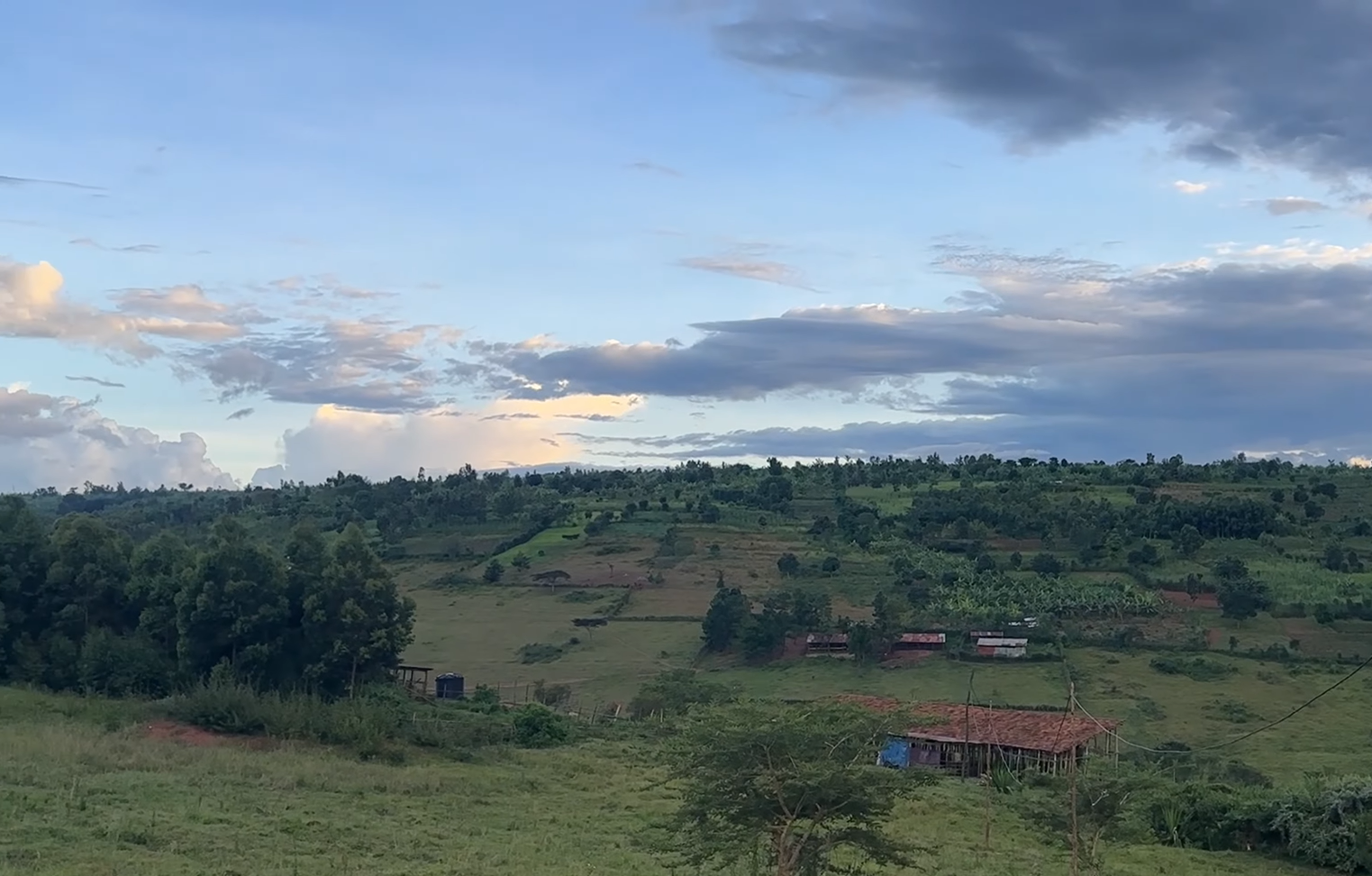 17 Hectares Lakeside Farm for Sale in Rwamagana image 10