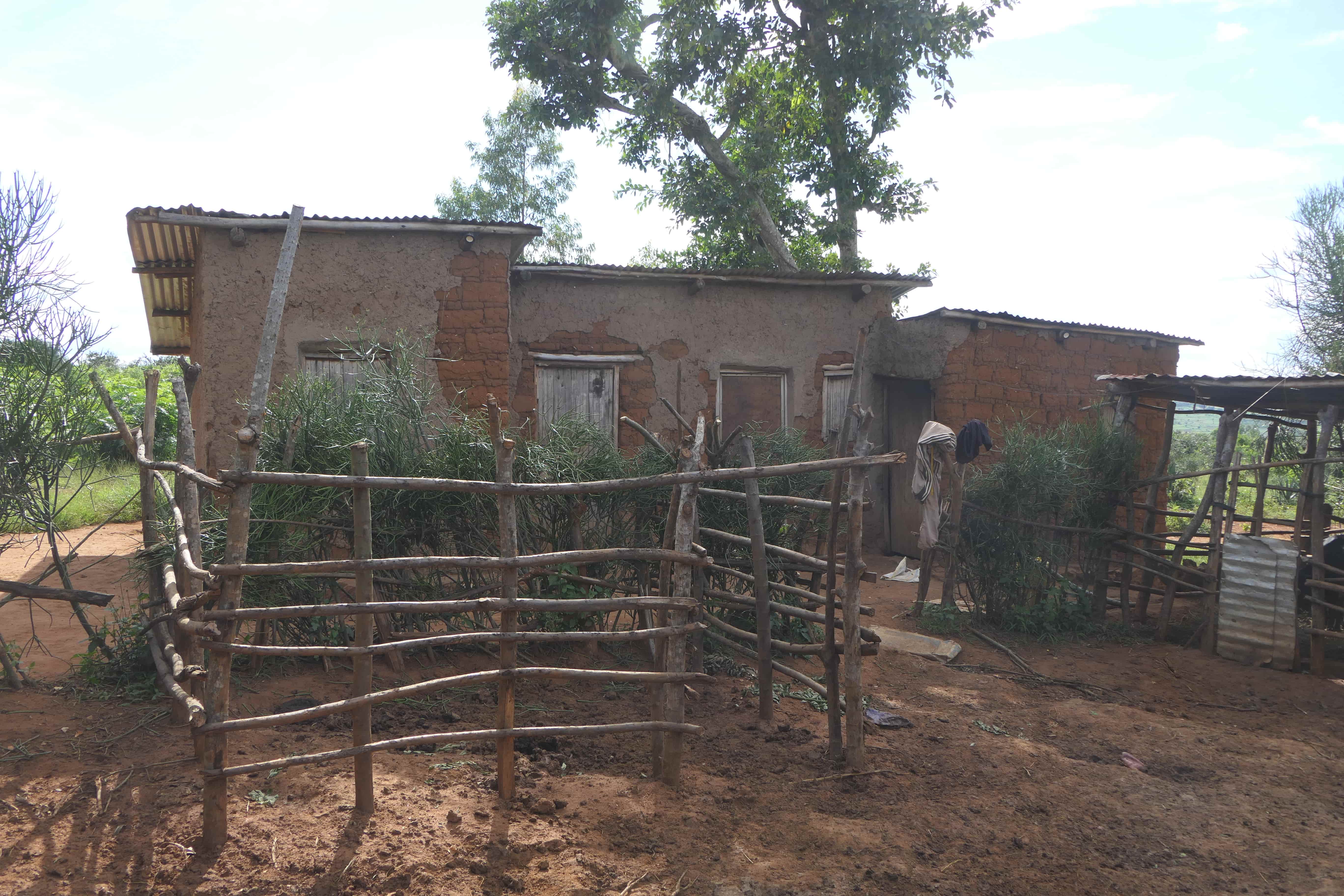 🌿 11 Hectares for Sale in Bugesera – Perfect for Agriculture & Livestock!🐄🌱 image 8