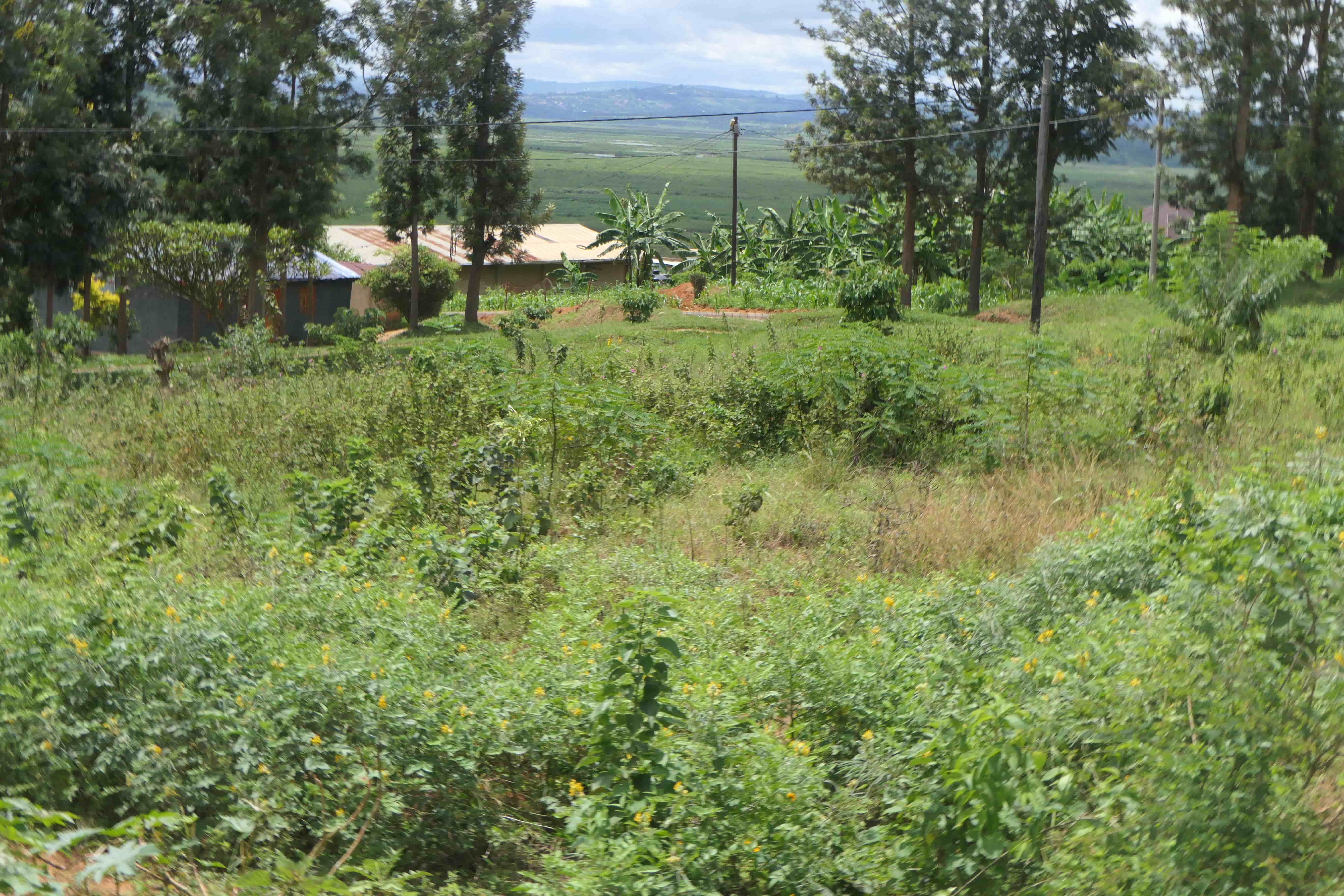 435 Square Meters Prime Plots for Sale | Secure Land Investment Opportunity image 5