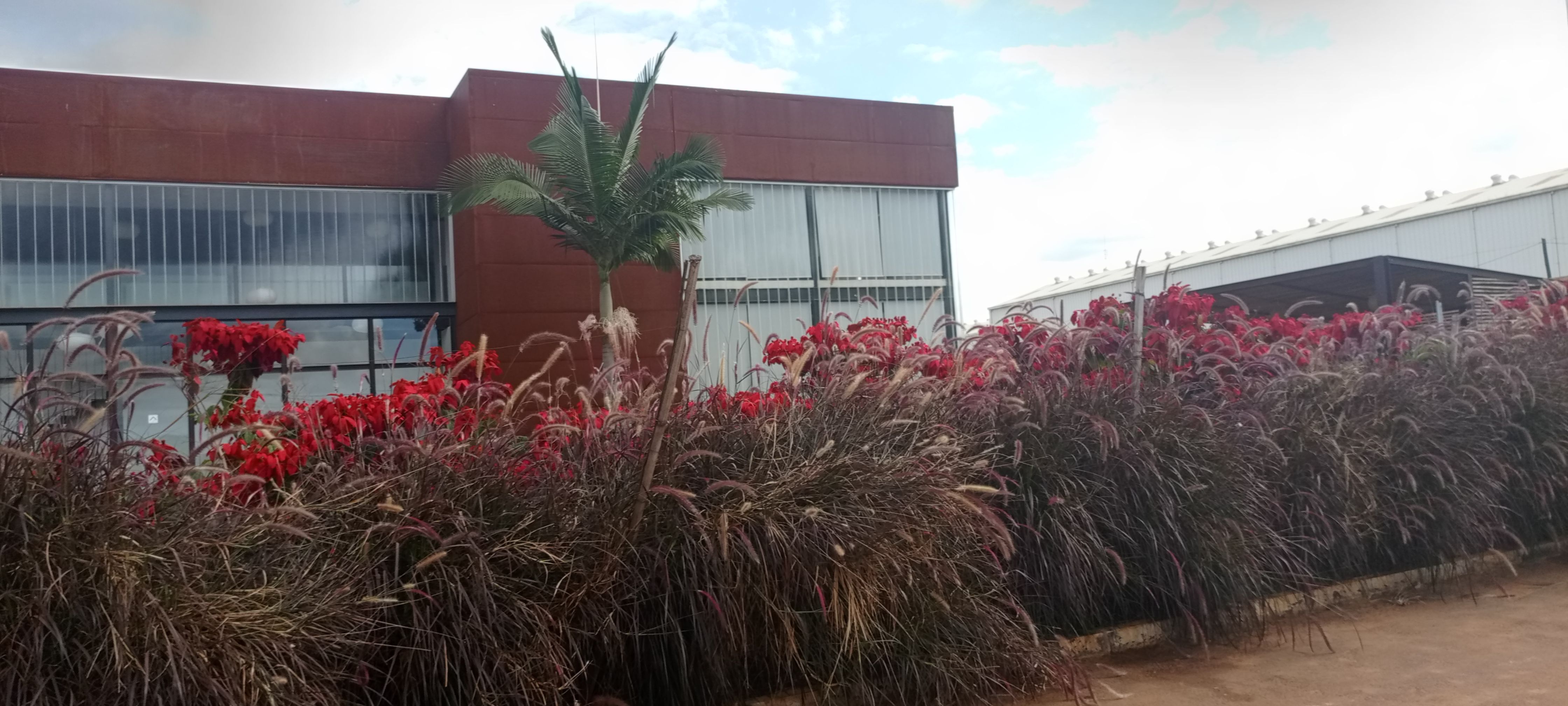 Bugesera-kanzenze C3- city  commercial plot:   6,295sqm image 3