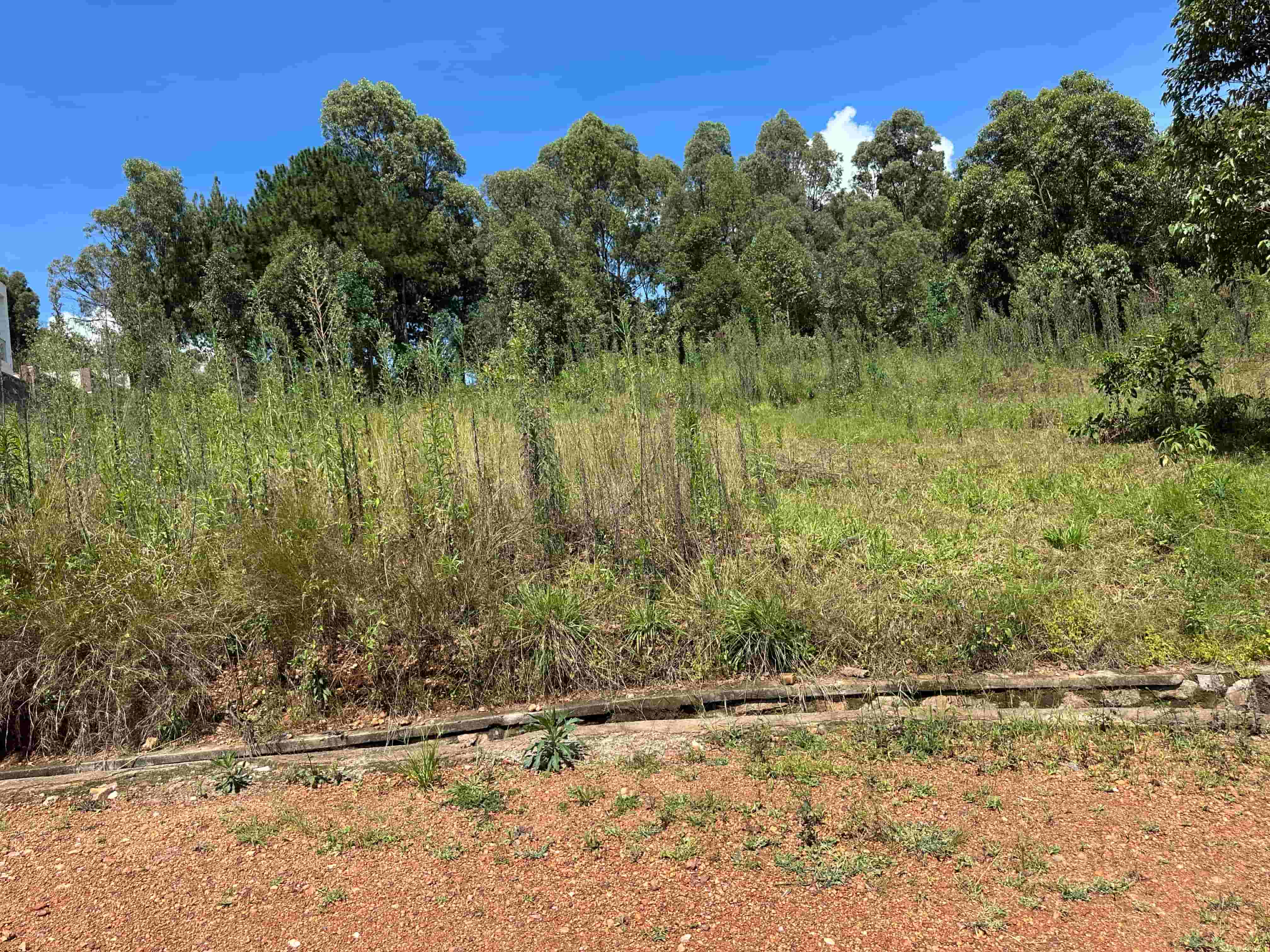 PREMIUM 1100sqm RESIDENTIAL LAND FOR SALE IN REBERO image 5