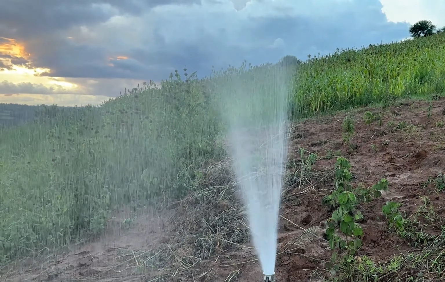 17 Hectares Lakeside Farm for Sale in Rwamagana image 16