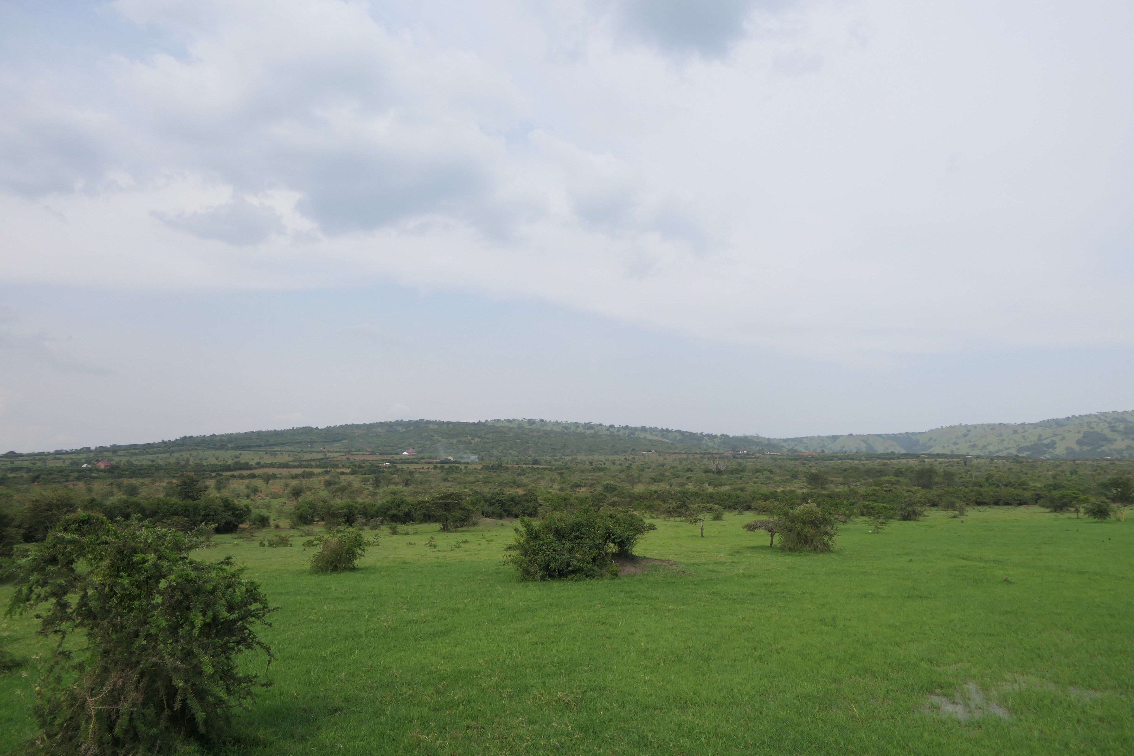19 Hectares Livestock Farmland for Sale in Kayonza District, Rwanda image 5