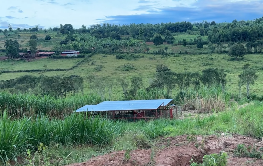 17 Hectares Lakeside Farm for Sale in Rwamagana image 3