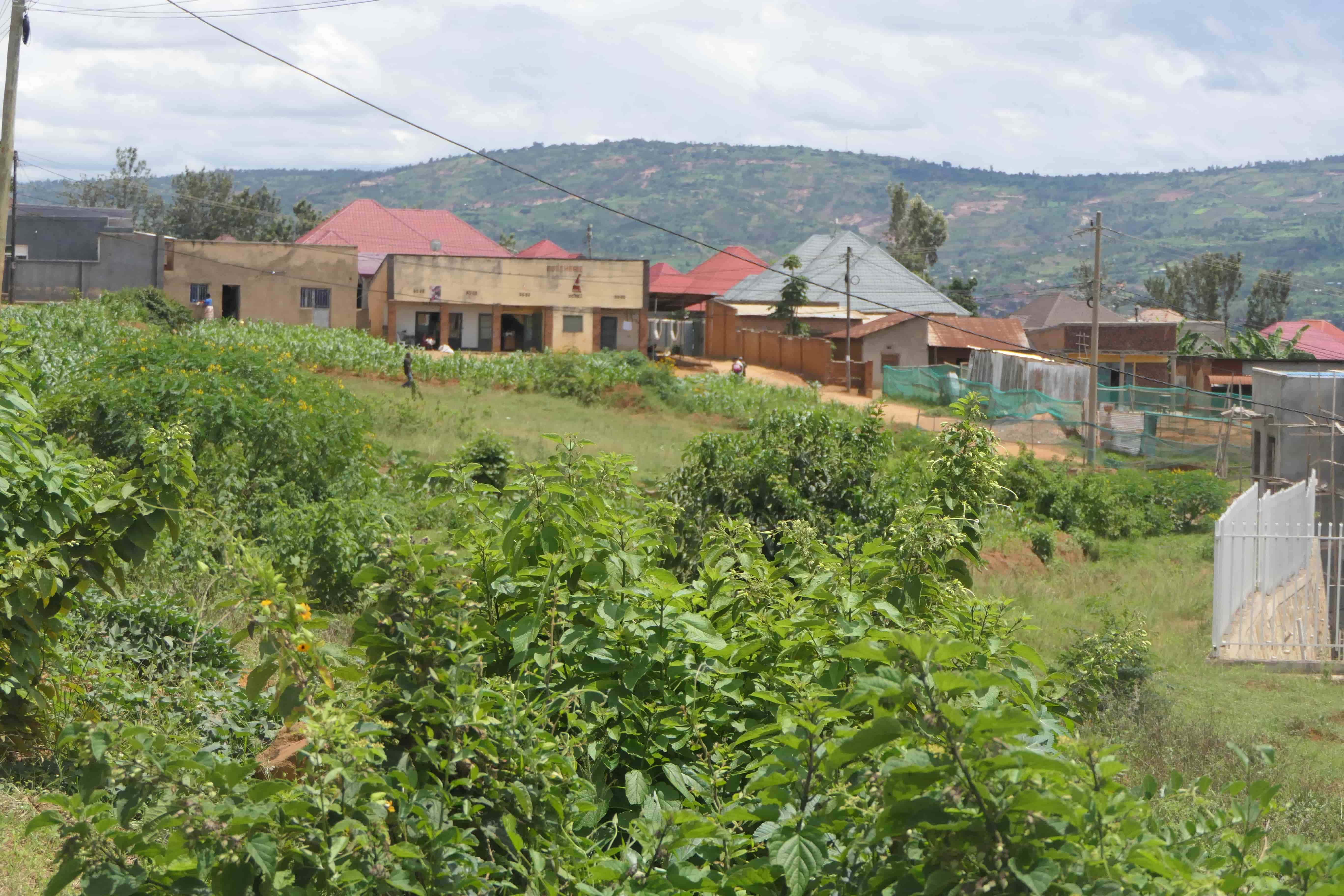 435 Square Meters Prime Plots for Sale | Secure Land Investment Opportunity image 16