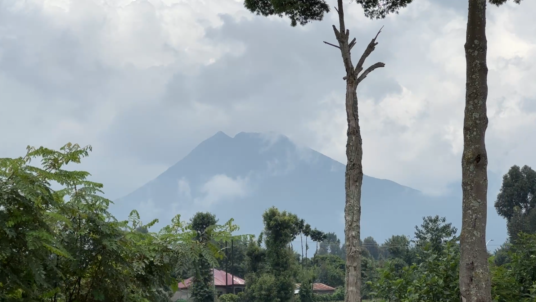 Land for Sale in Musanze Near Kwita Izina Grounds| 4000 sqm Prime Plot image 6