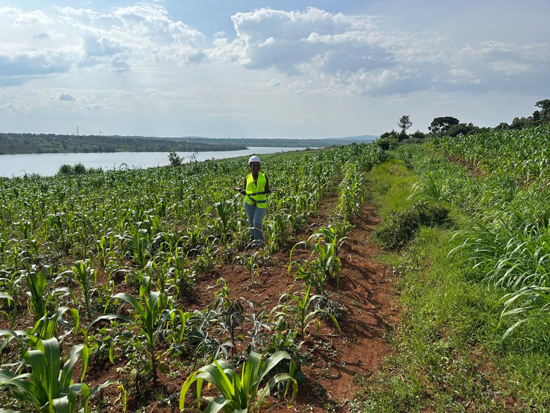 90 Hectares for Sale in Ngoma – Perfect for Agriculture & Livestock! image 4
