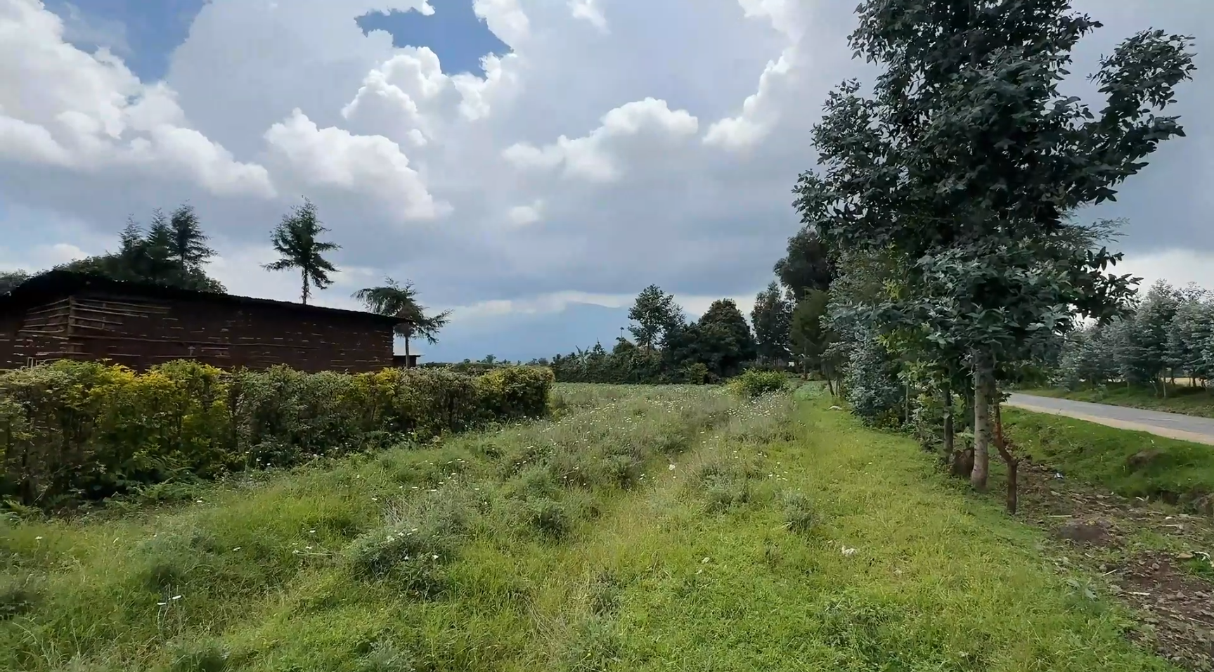 Land for Sale in Musanze Near Kwita Izina Grounds| 4000 sqm Prime Plot image 8