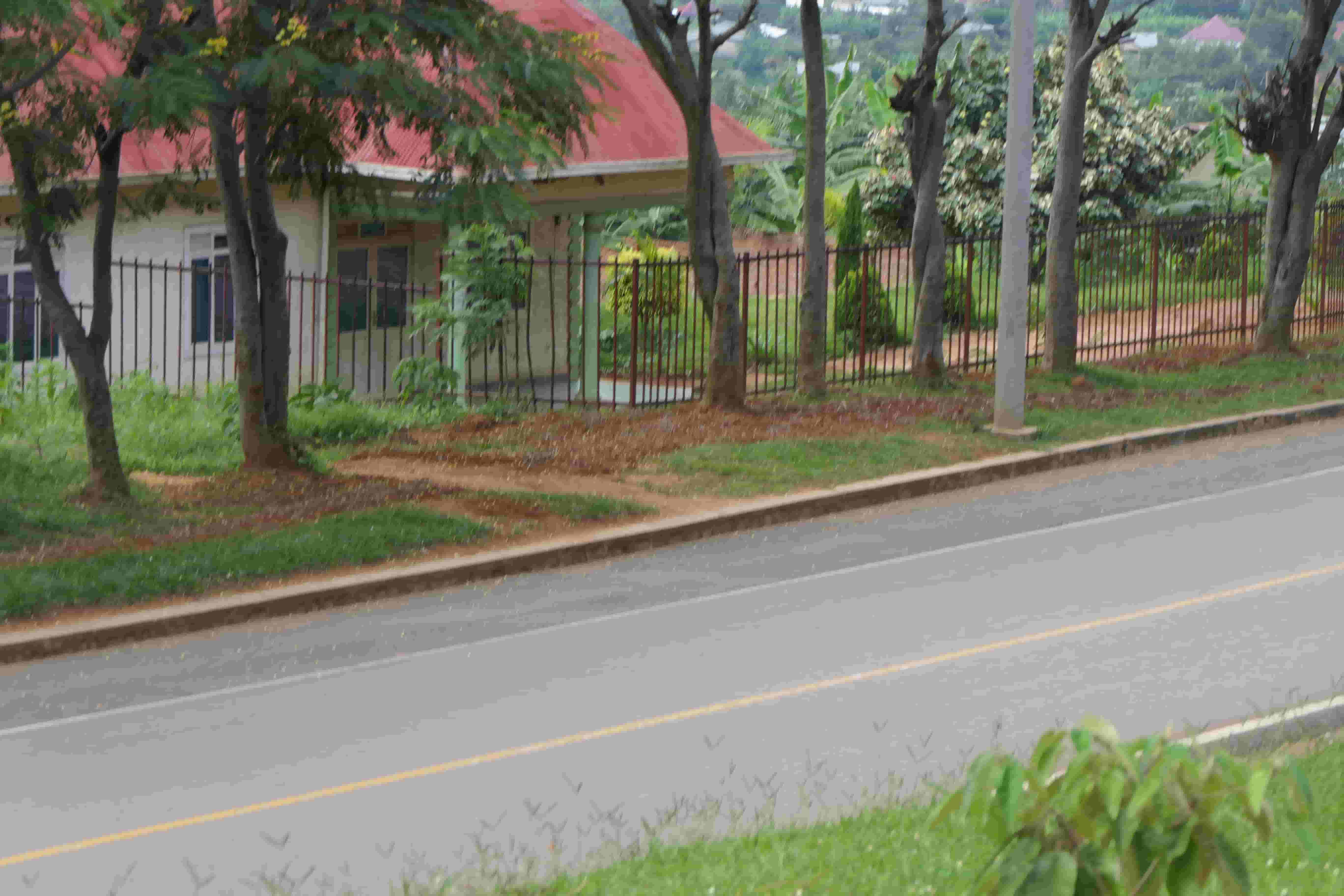 1000 Sqm Mixed Commercial Plot for Sale on the Main Road image 6