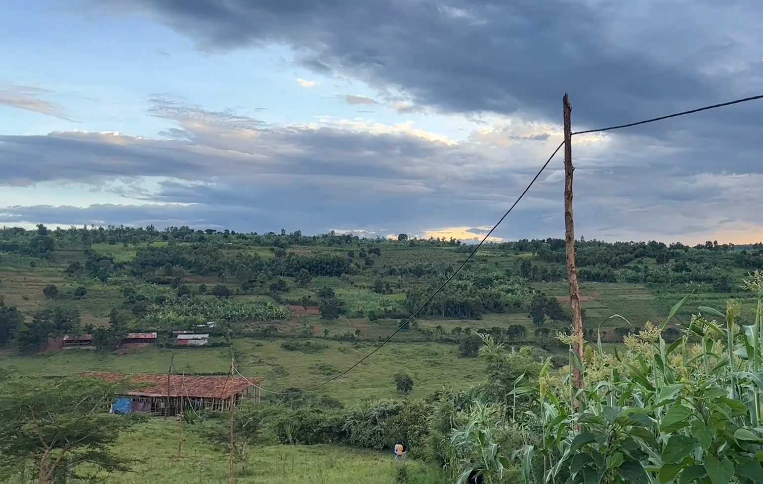 17 Hectares Lakeside Farm for Sale in Rwamagana image 9