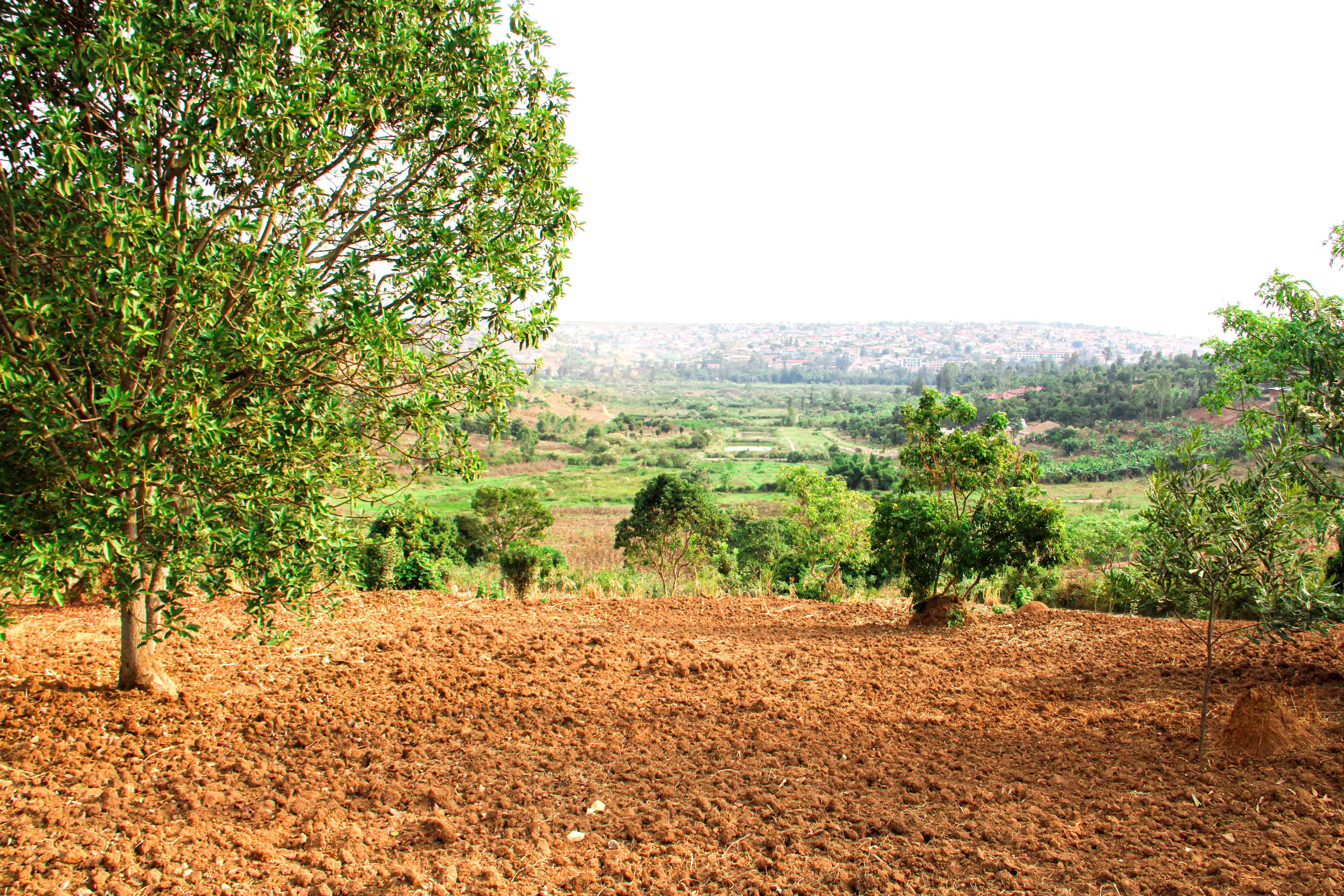 Industrial Plot for Sale in Masoro image 3