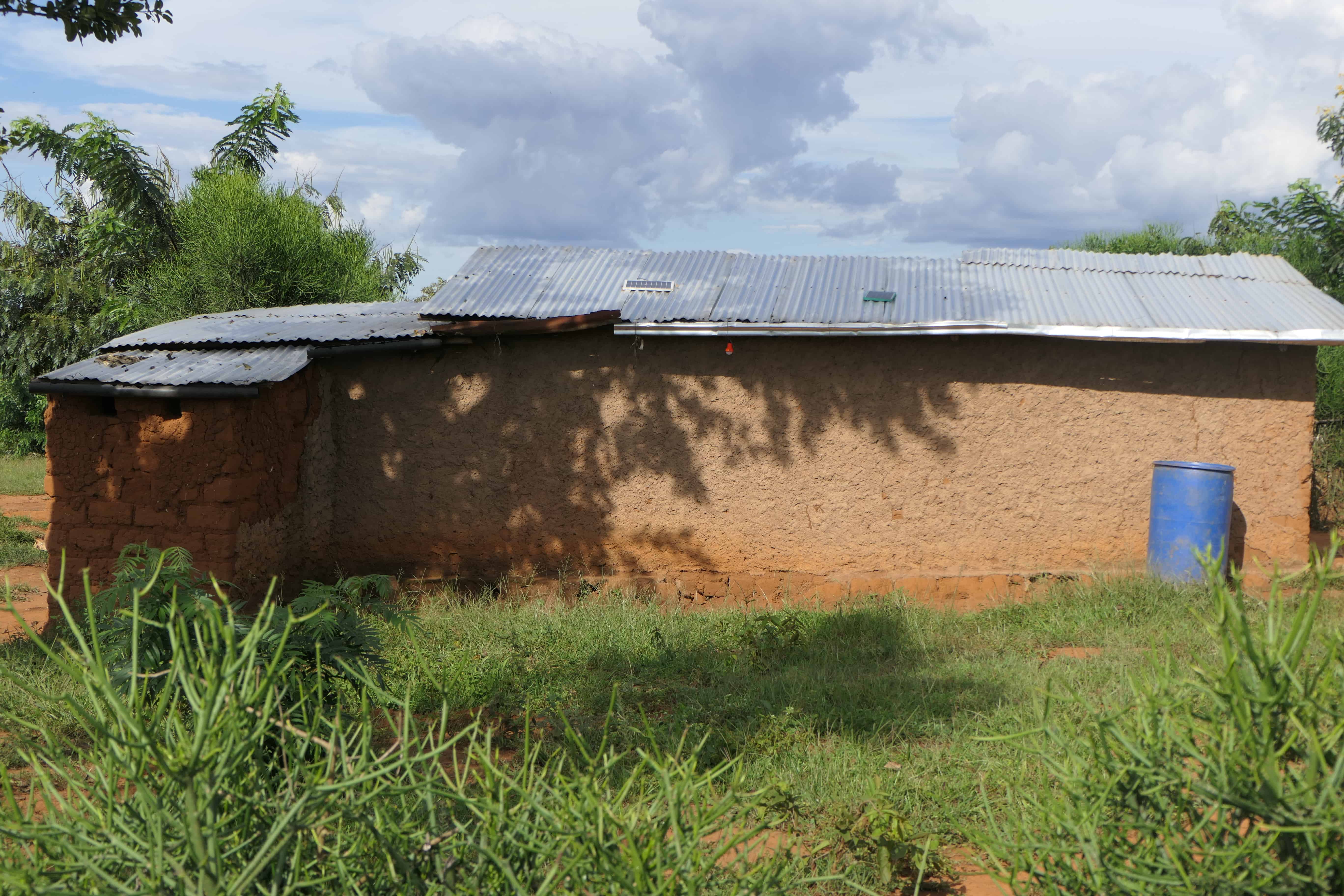 🌿 11 Hectares for Sale in Bugesera – Perfect for Agriculture & Livestock!🐄🌱 image 2