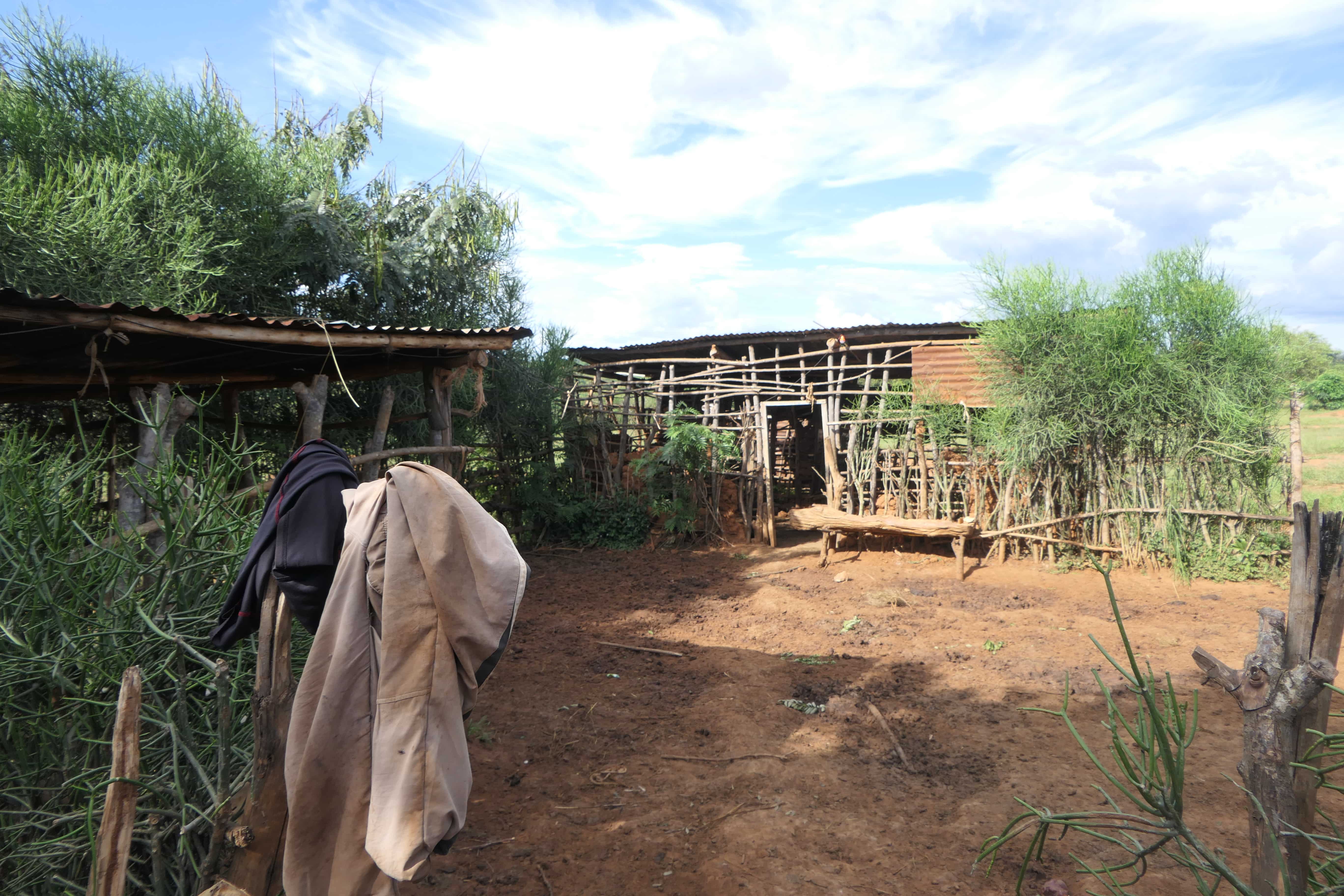 🌿 11 Hectares for Sale in Bugesera – Perfect for Agriculture & Livestock!🐄🌱 image 4