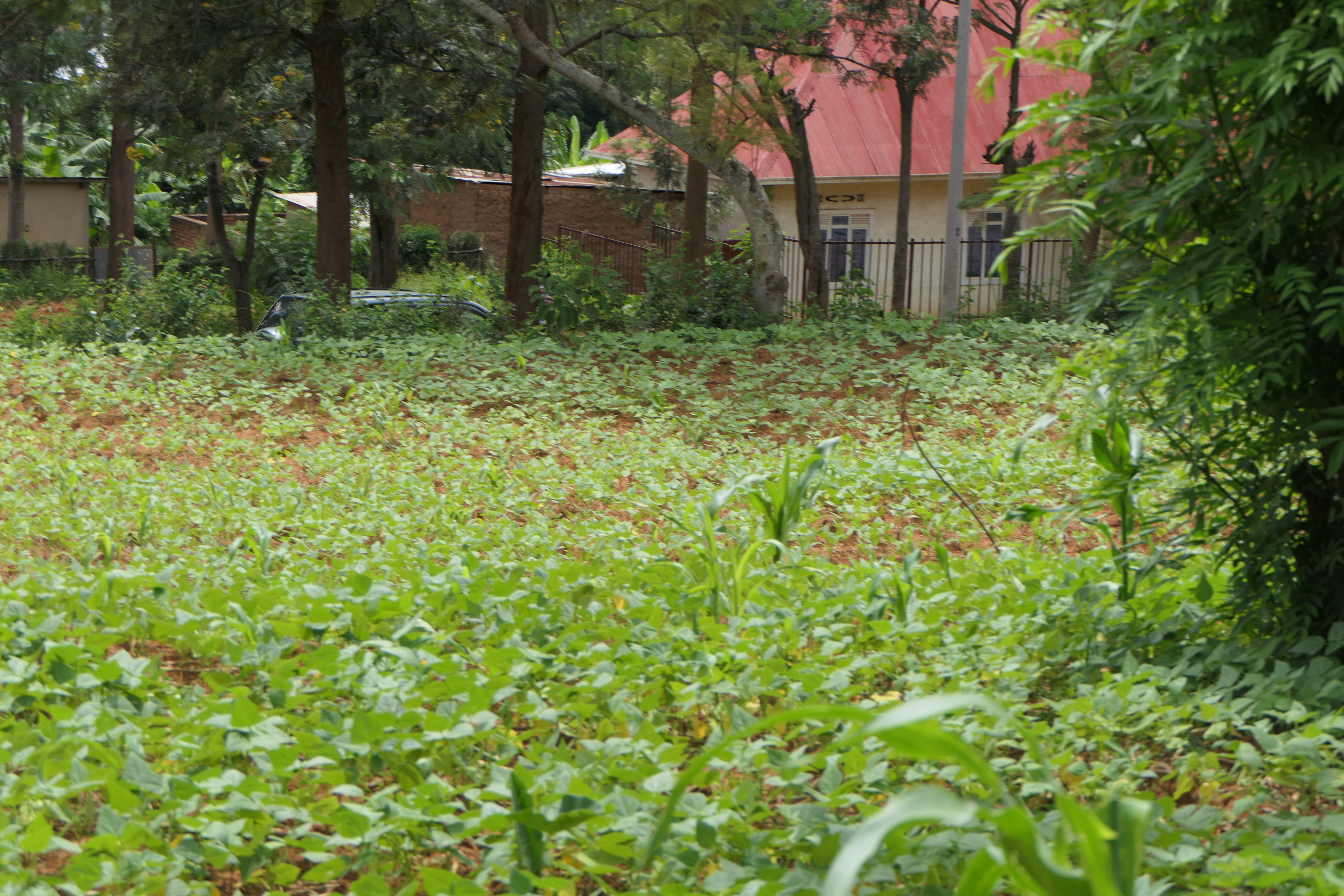 1000 Sqm Mixed Commercial Plot for Sale on the Main Road image 8