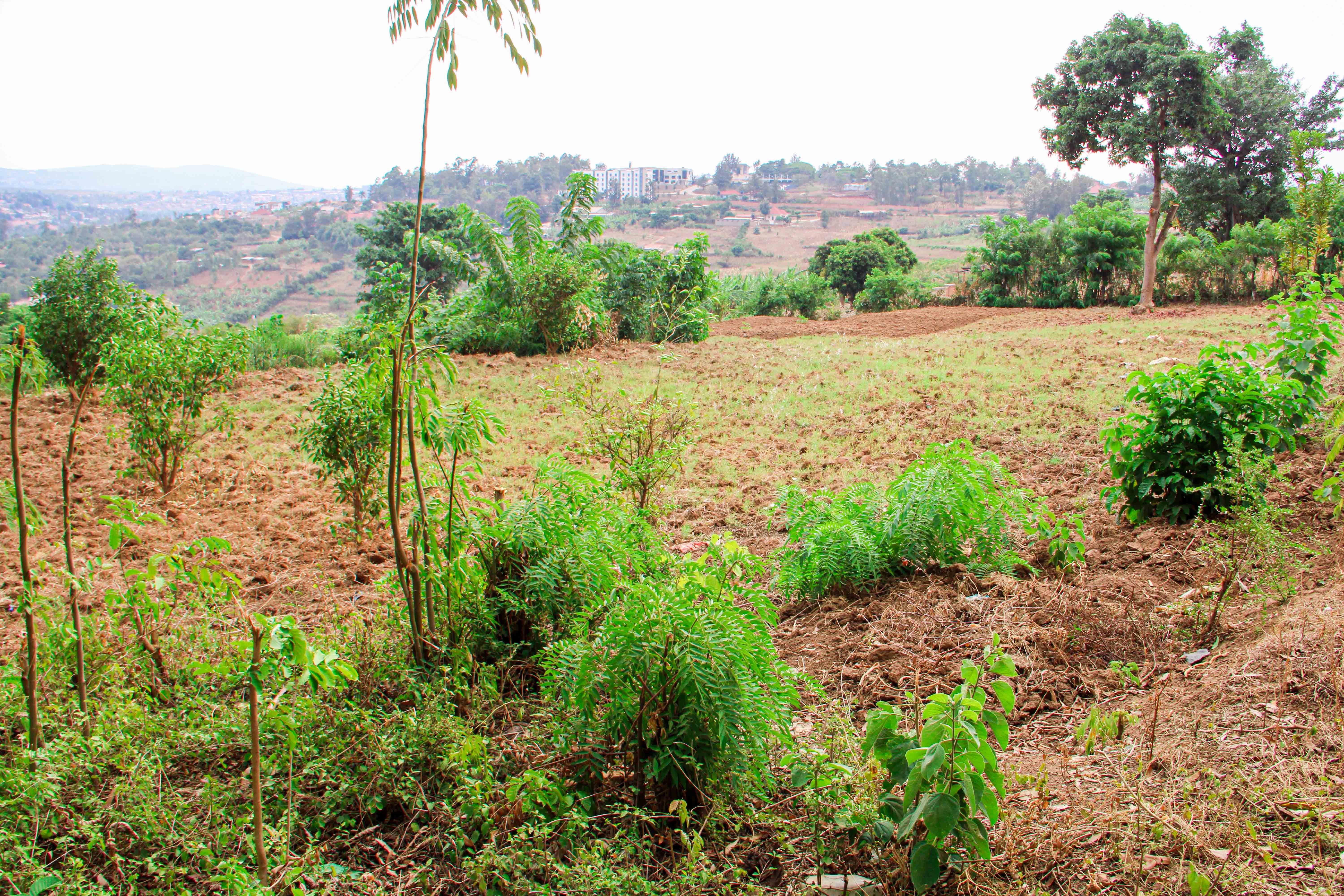 Industrial Plot for Sale in Masoro image 7
