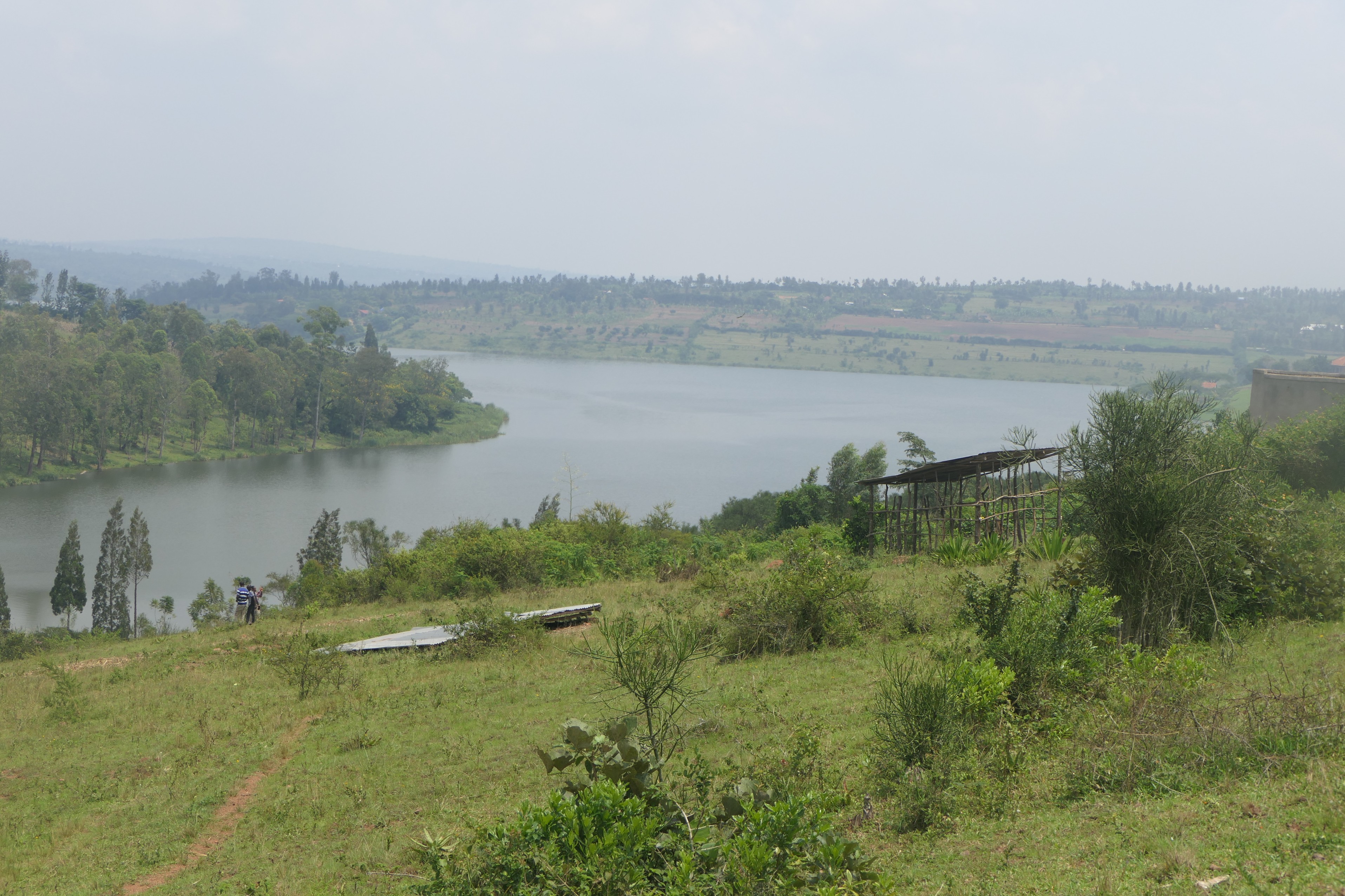 10.5 hectares lakefront land for sale on Muhazi lake in Rwamagana- Rwanda image 6