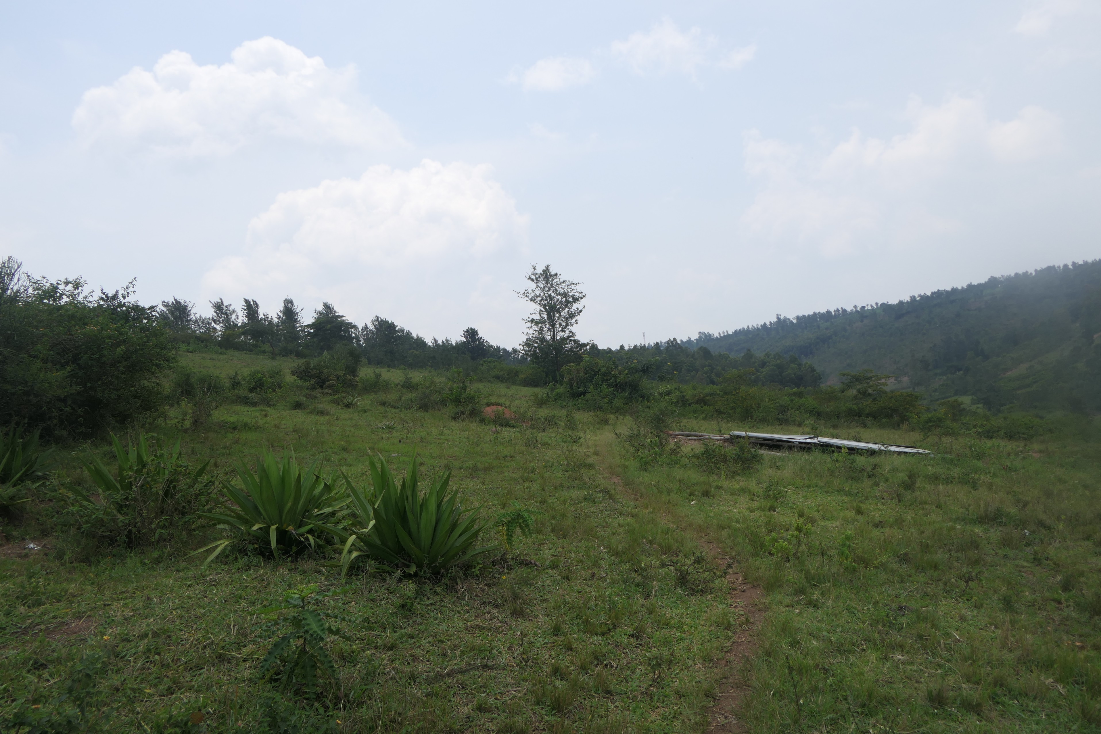 10.5 hectares lakefront land for sale on Muhazi lake in Rwamagana- Rwanda image 9