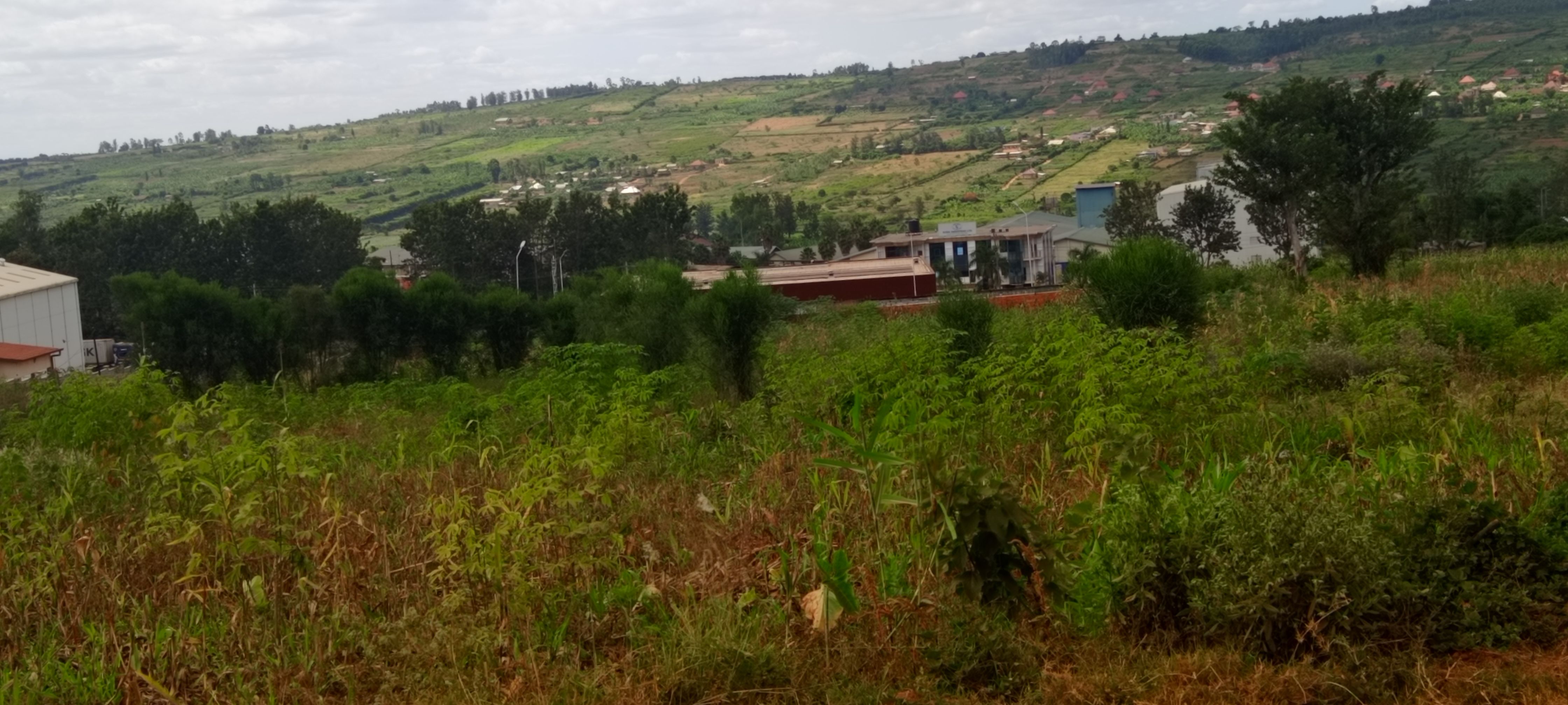 Bugesera-kanzenze C3- city  commercial plot:   6,295sqm image 9