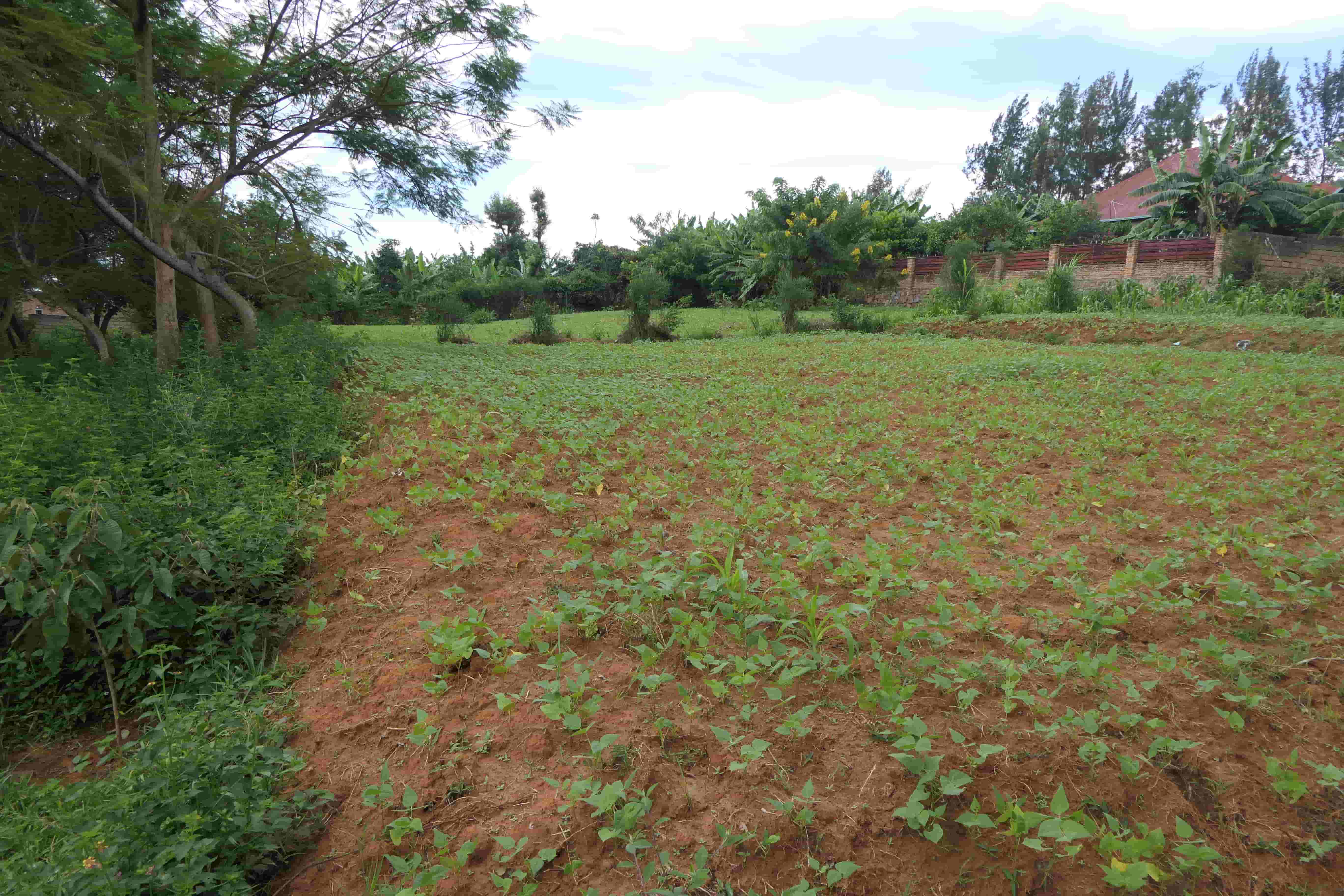 1000 Sqm Mixed Commercial Plot for Sale on the Main Road image 2