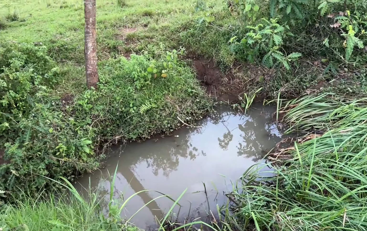 17 Hectares Lakeside Farm for Sale in Rwamagana image 14